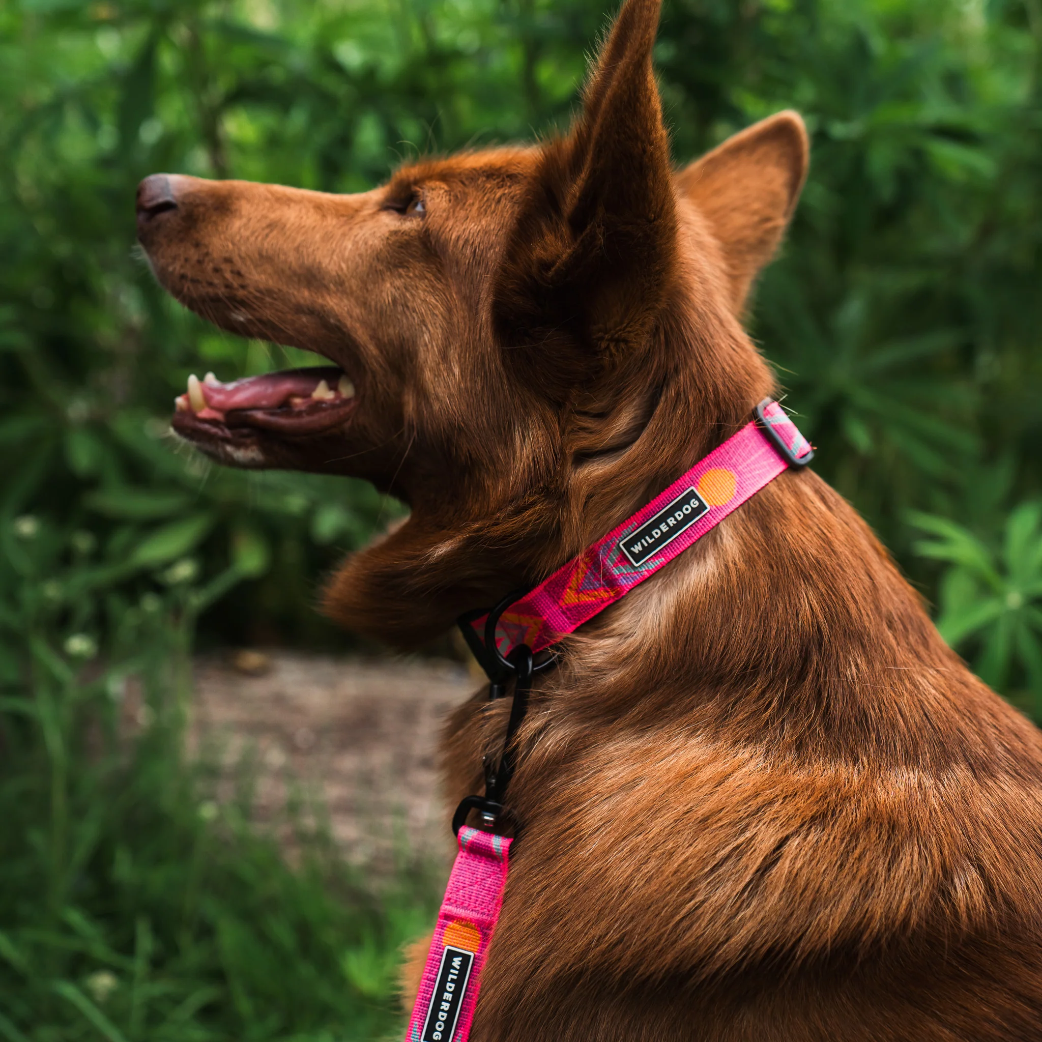 Playa Ultralight Leash - Image 3