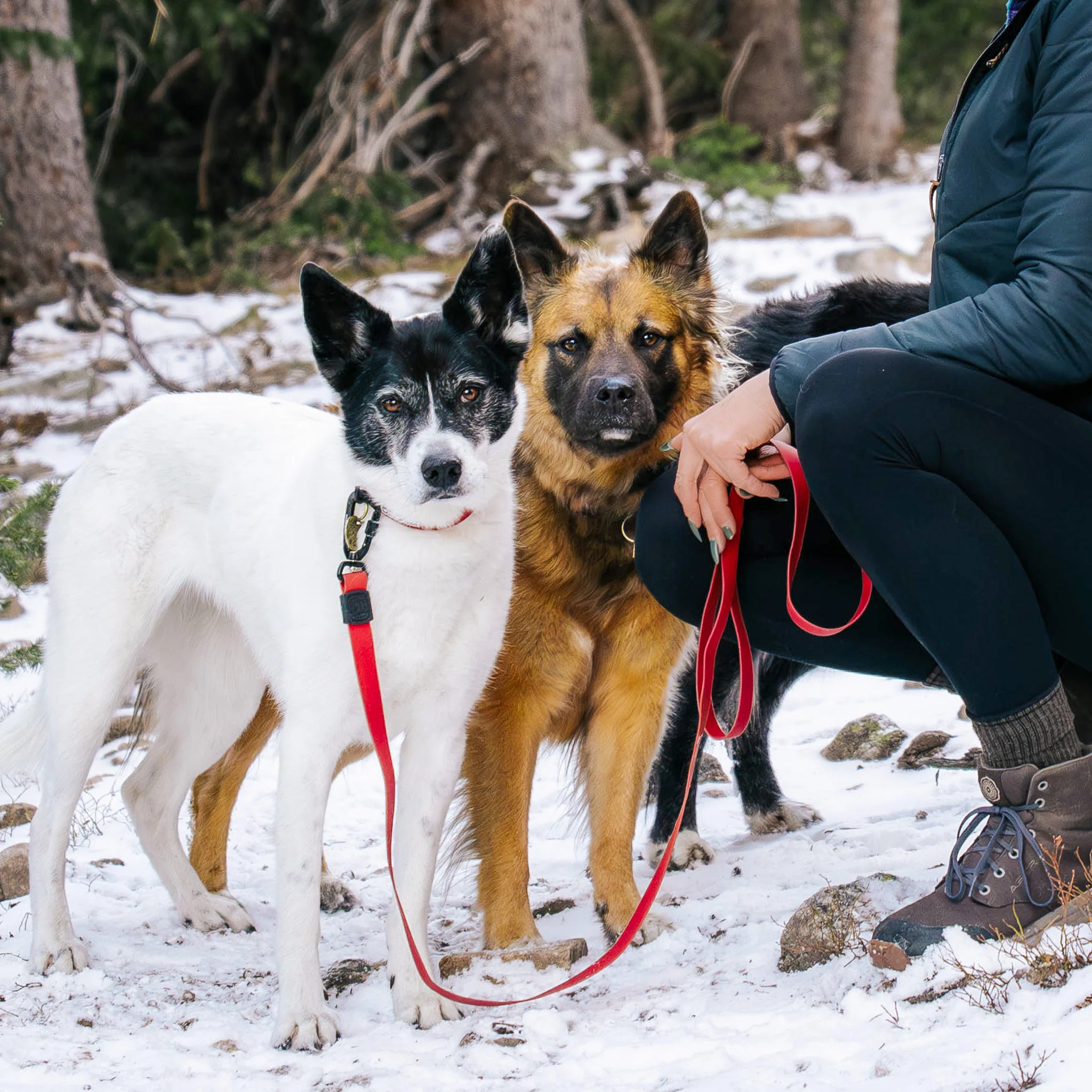 Red Waterproof Pro Leash - Image 3