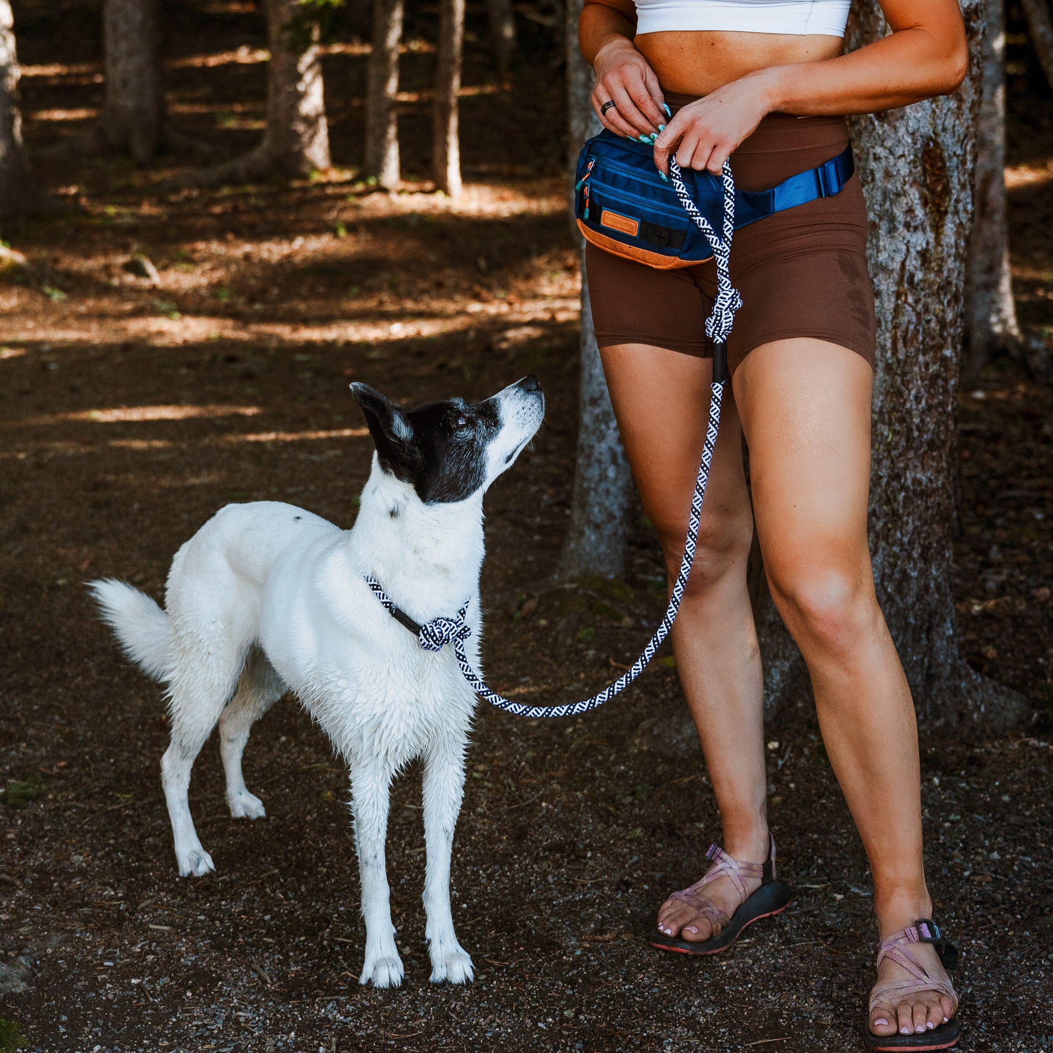 Rope Slip Lead - Image 2