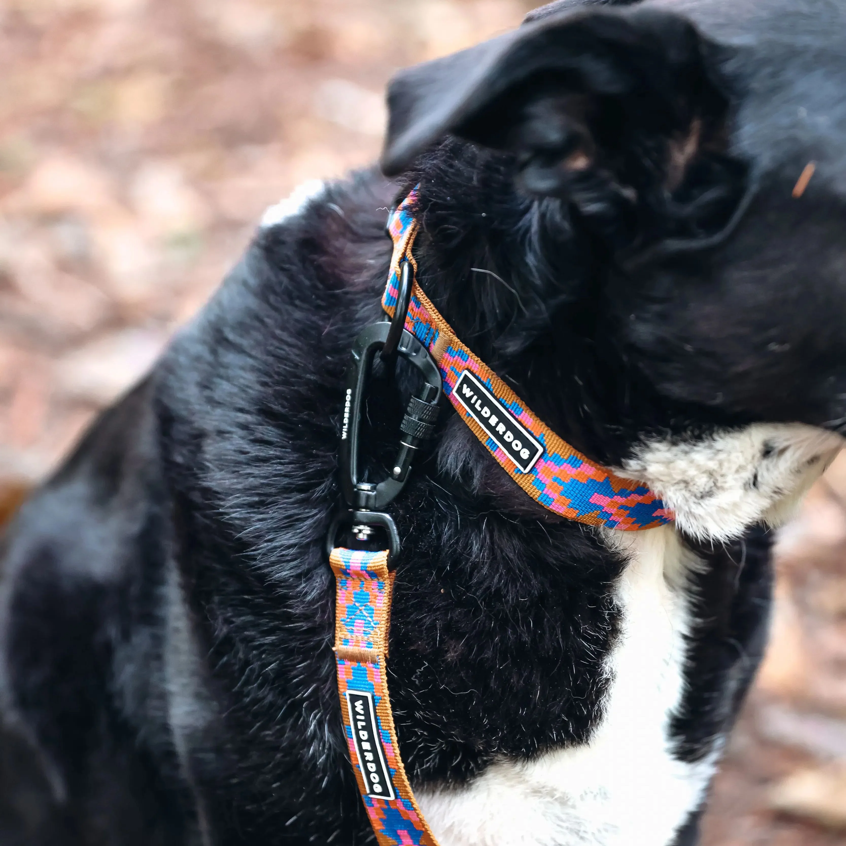 Sandstone Ultralight Collar - Image 2