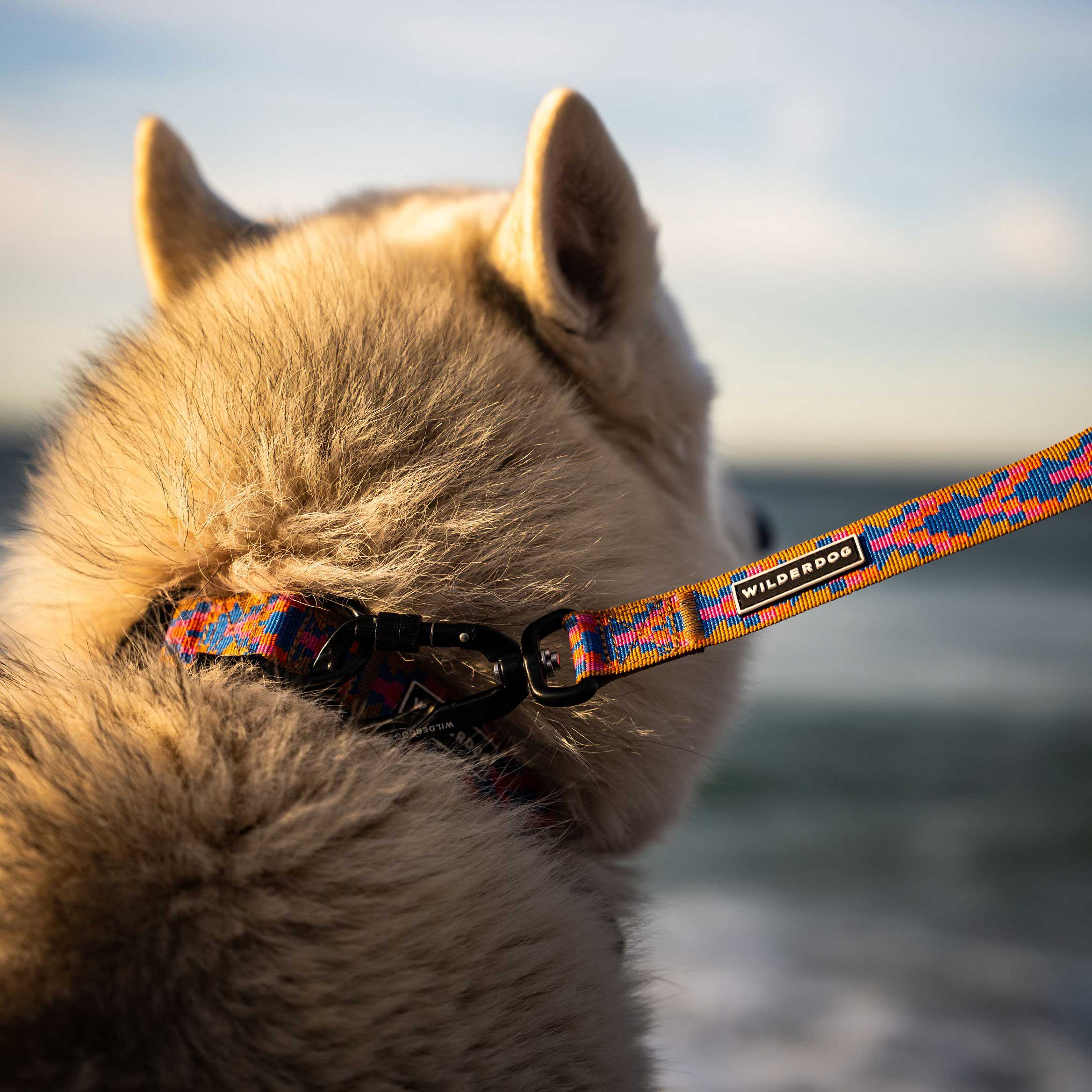 Sandstone Ultralight Leash - Image 2