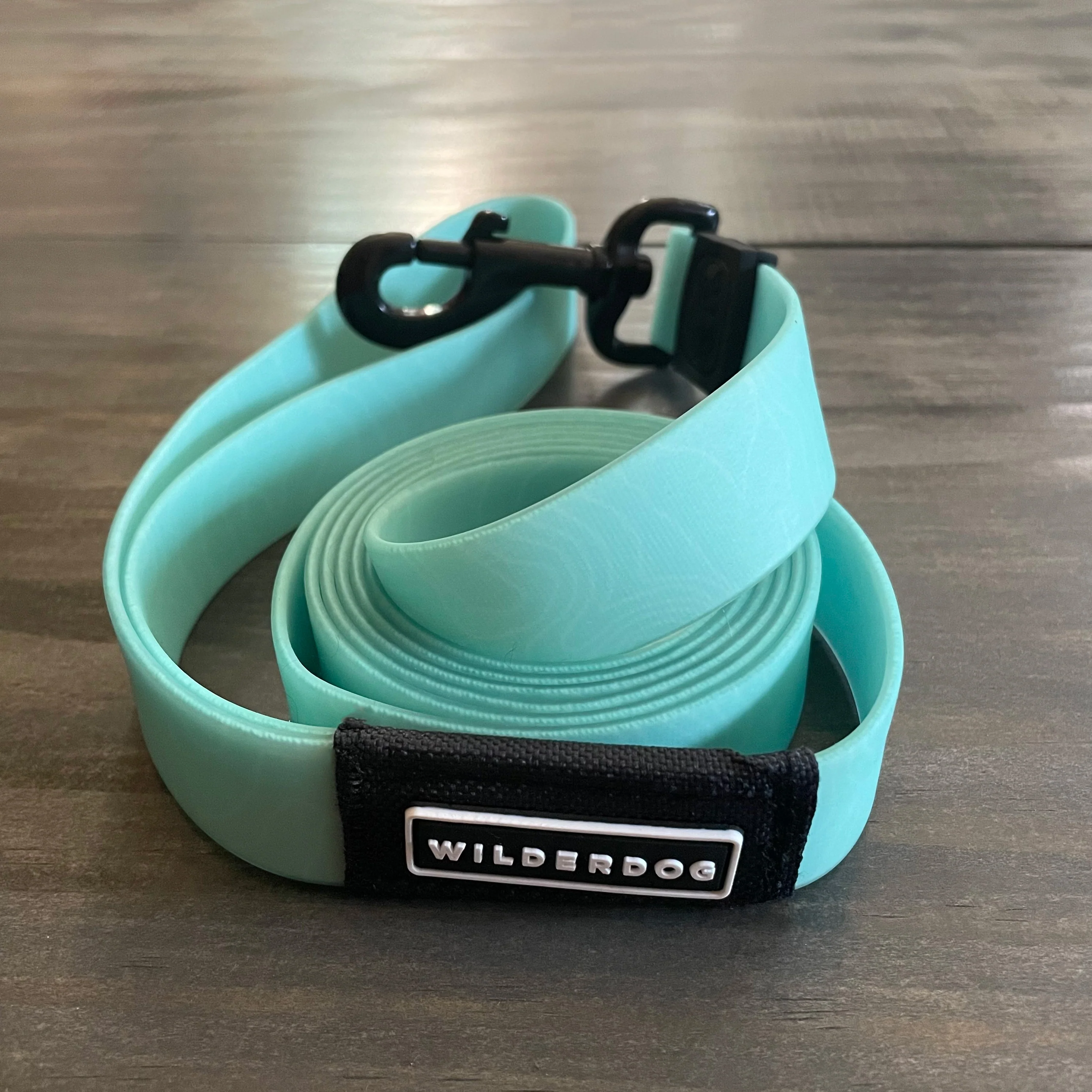 Seafoam Waterproof Leash - Image 3
