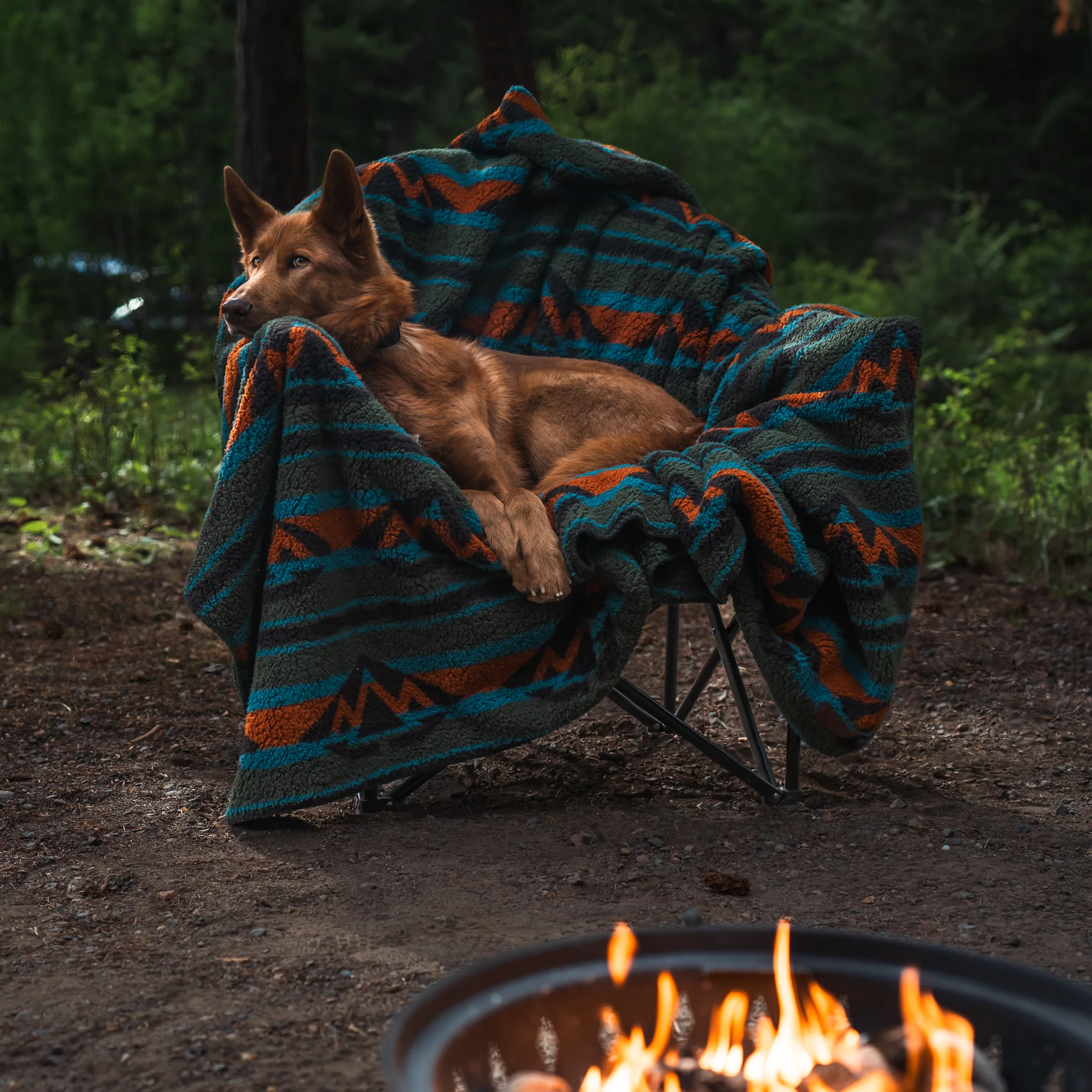 Sherpa Fleece Waterproof Blanket - Image 11