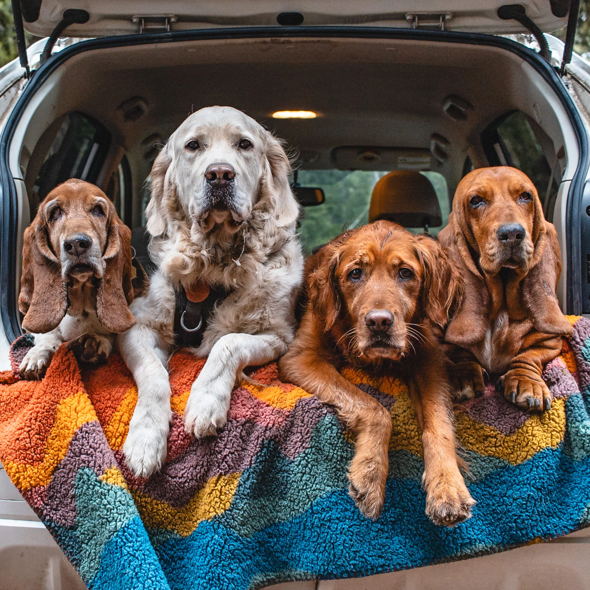 Sherpa Fleece Waterproof Blanket - Image 13