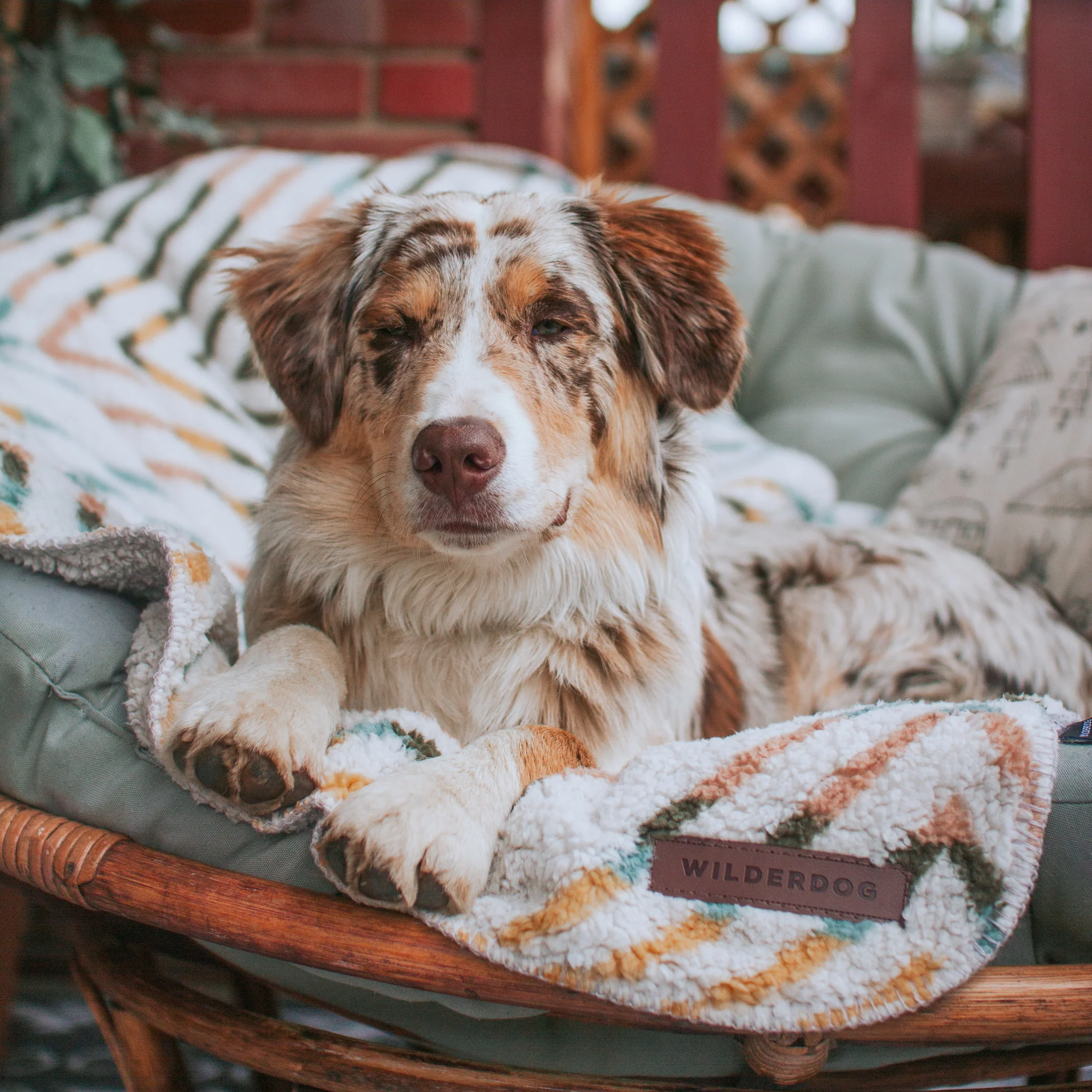 Sherpa Fleece Waterproof Blanket - Image 14