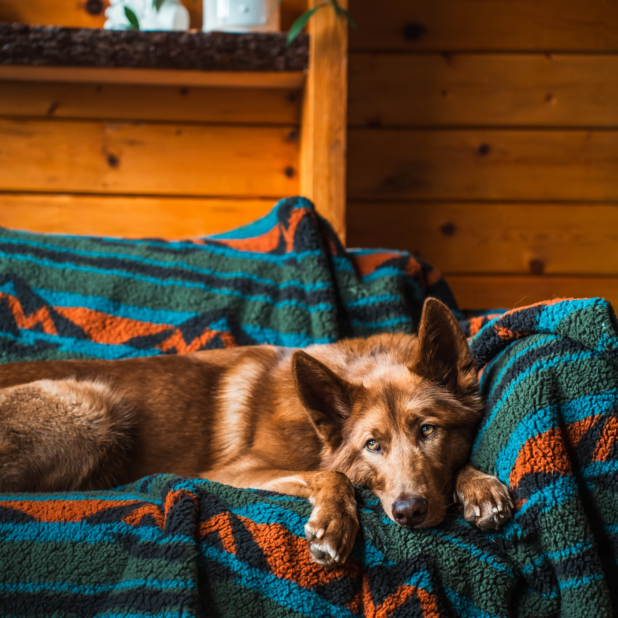 Sherpa Fleece Waterproof Blanket - Image 16