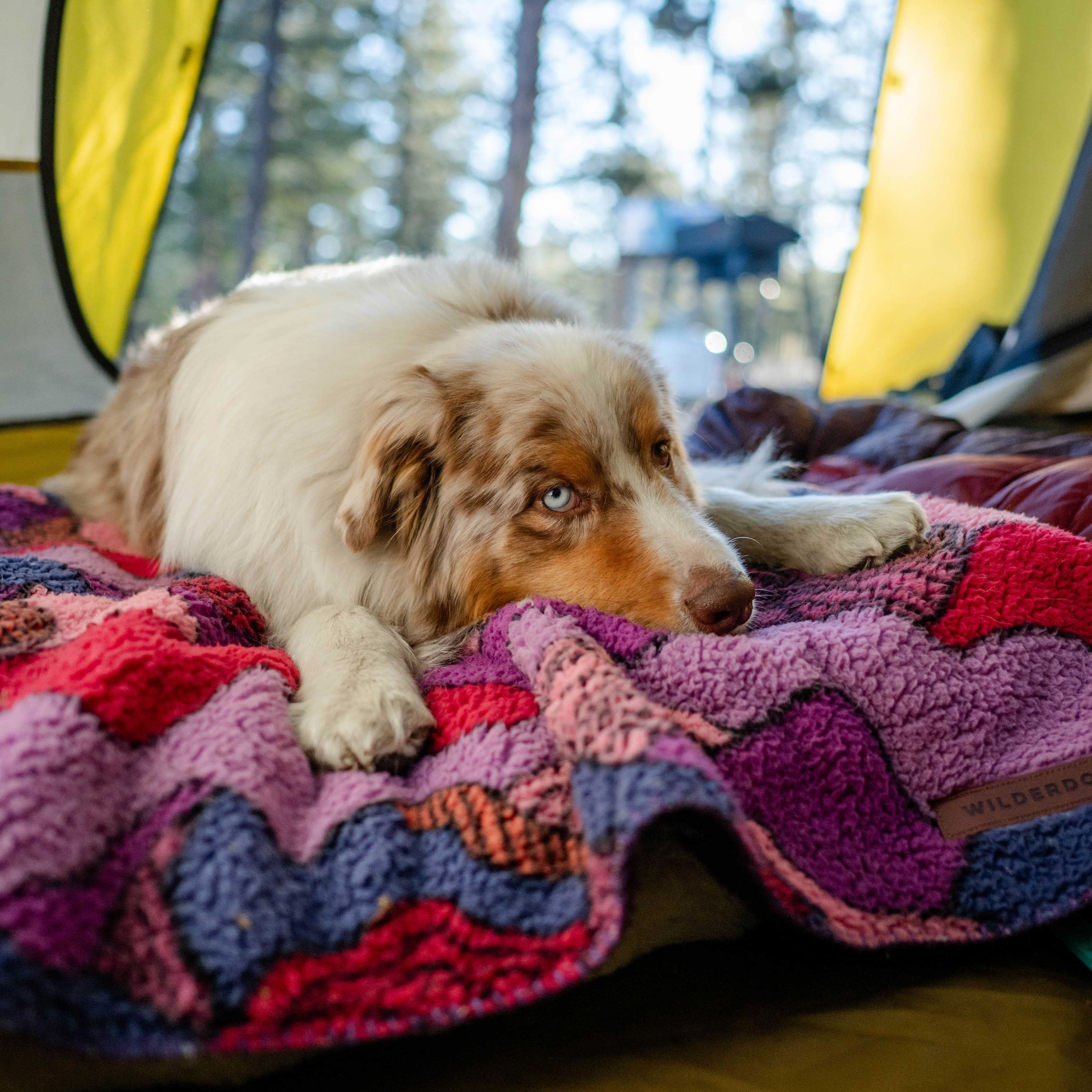 Sherpa Fleece Waterproof Blanket - Image 18