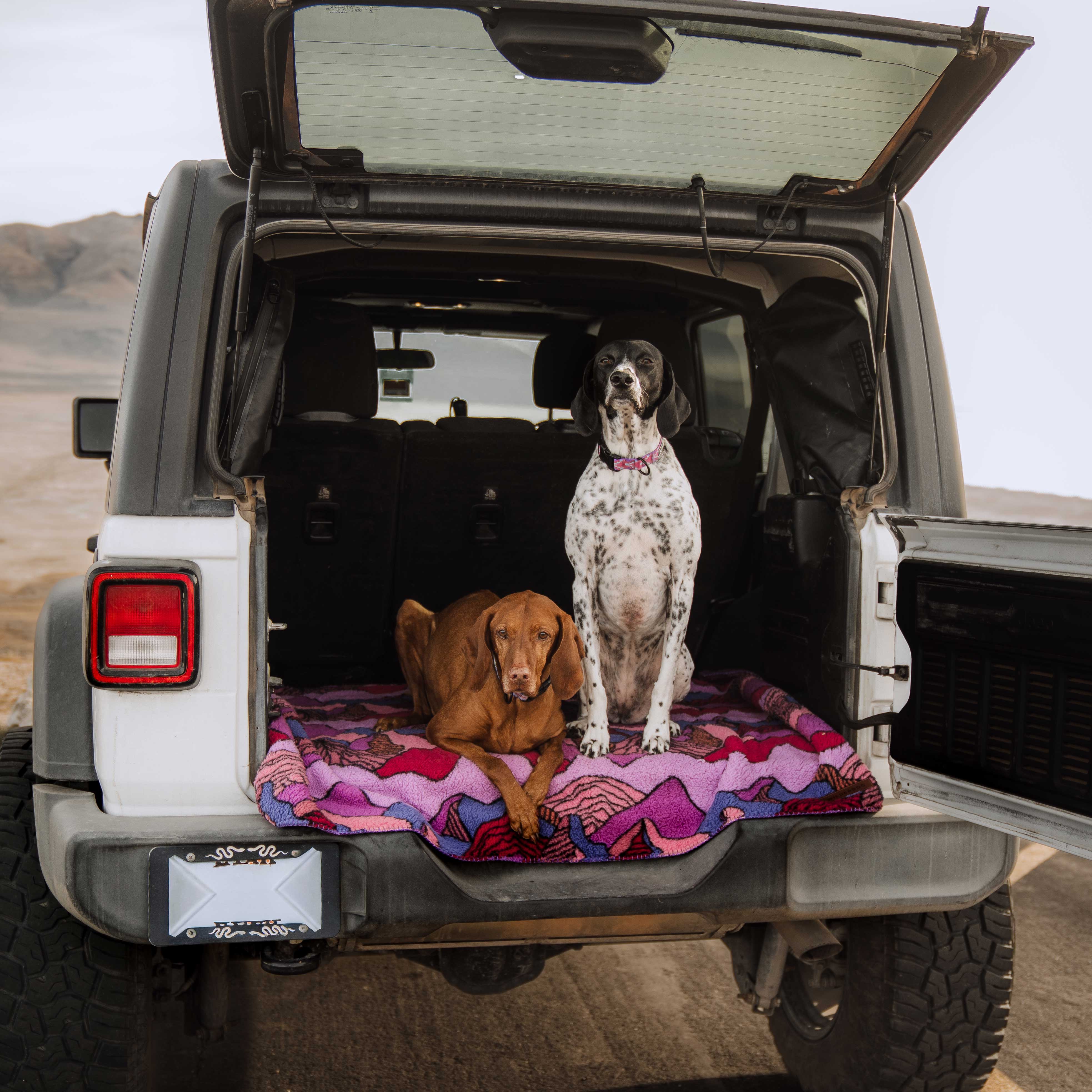 Sherpa Fleece Waterproof Blanket - Image 20