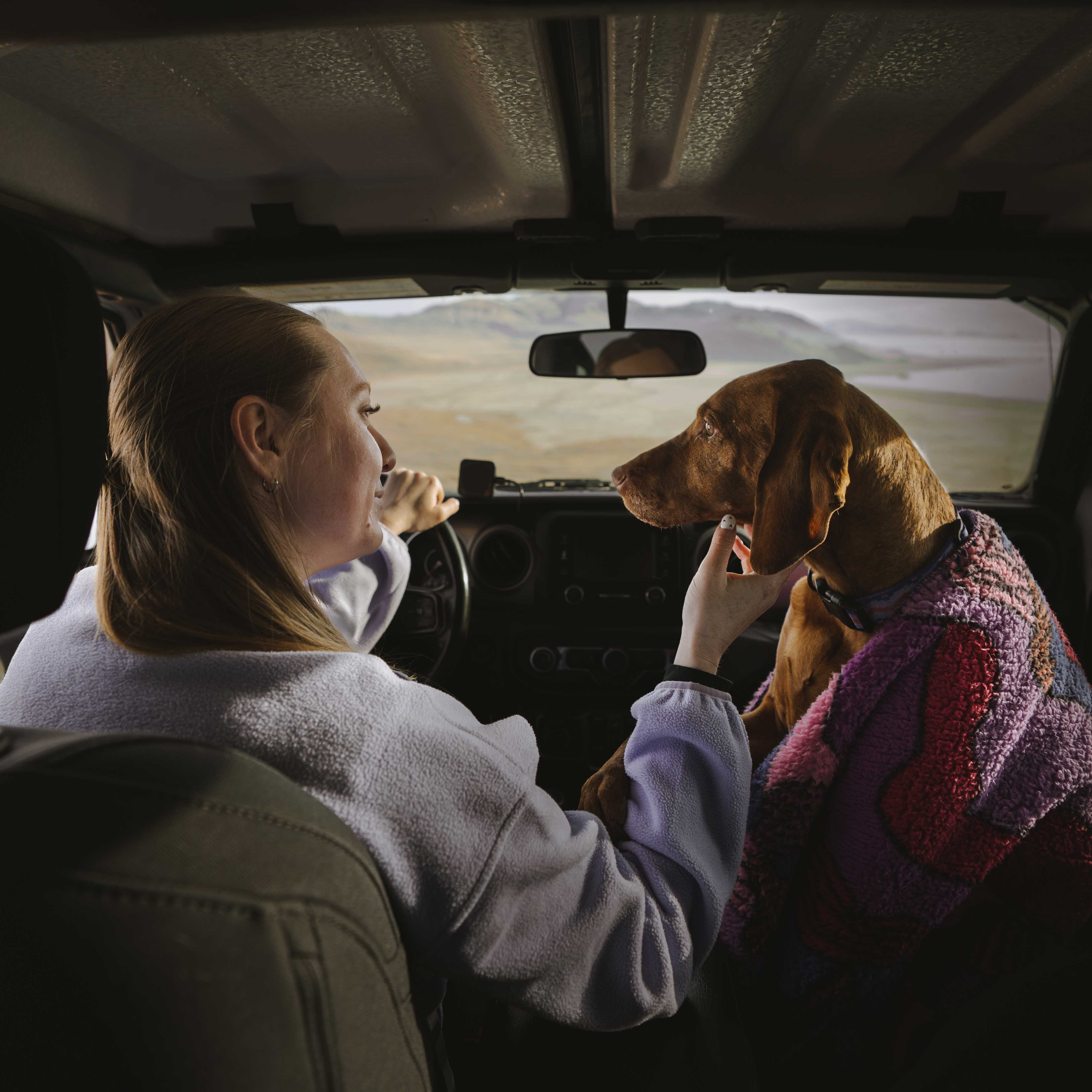 Sherpa Fleece Waterproof Blanket - Image 21