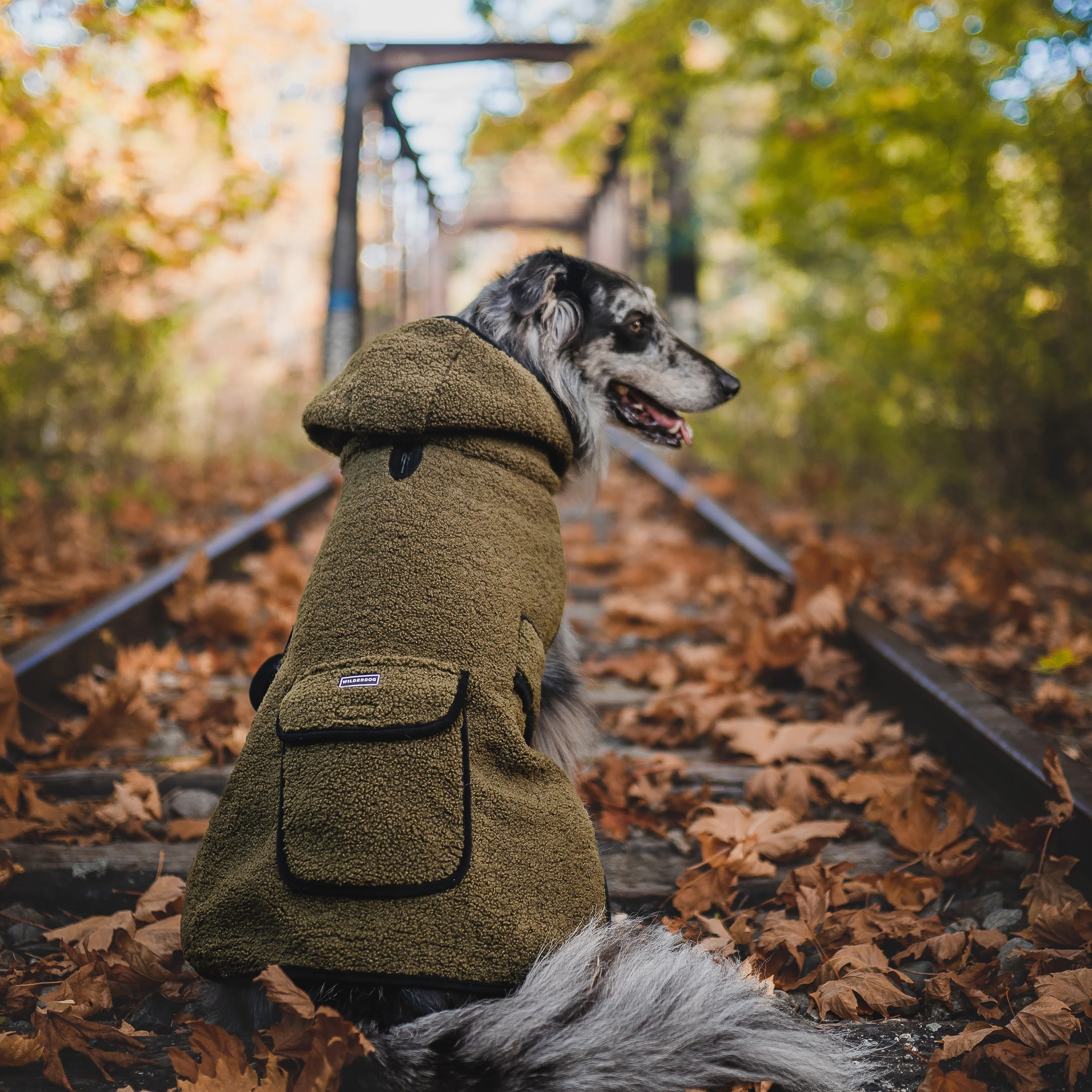 Sherpa Jacket - Image 4