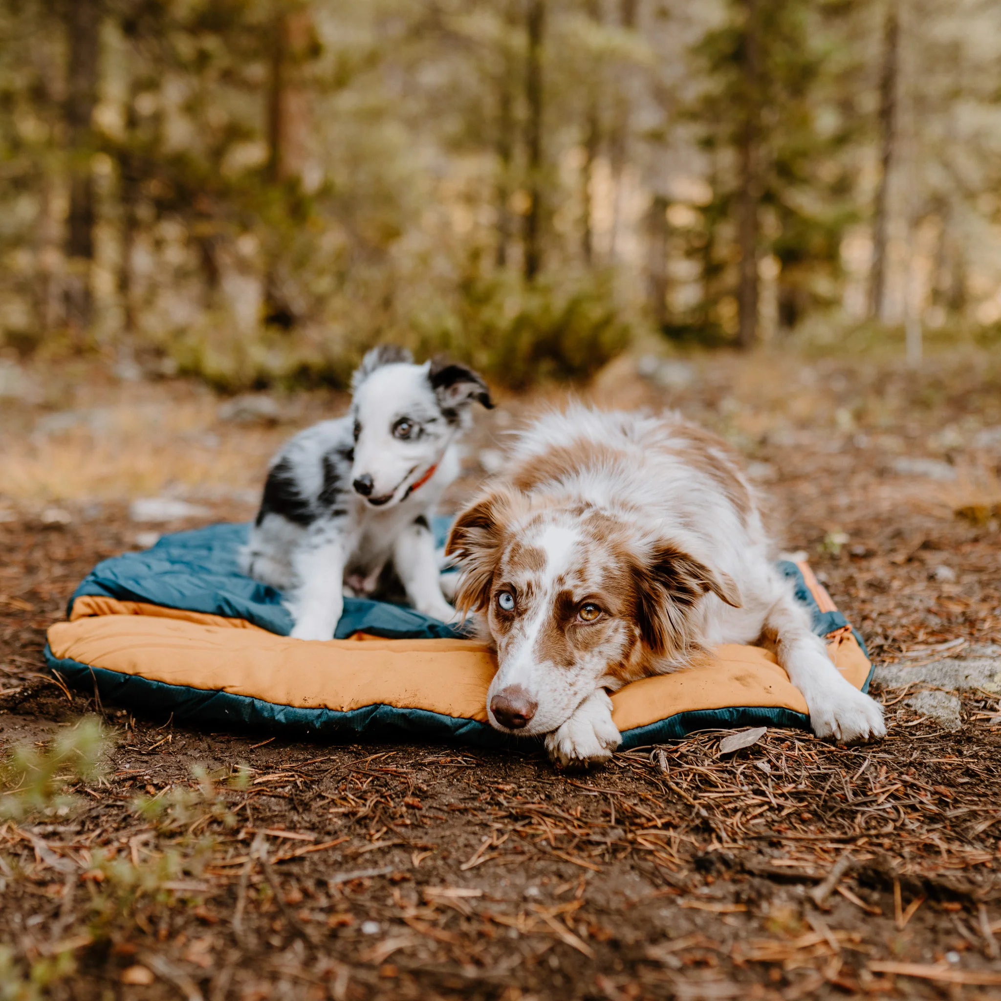 Sleeping Bag - Image 10