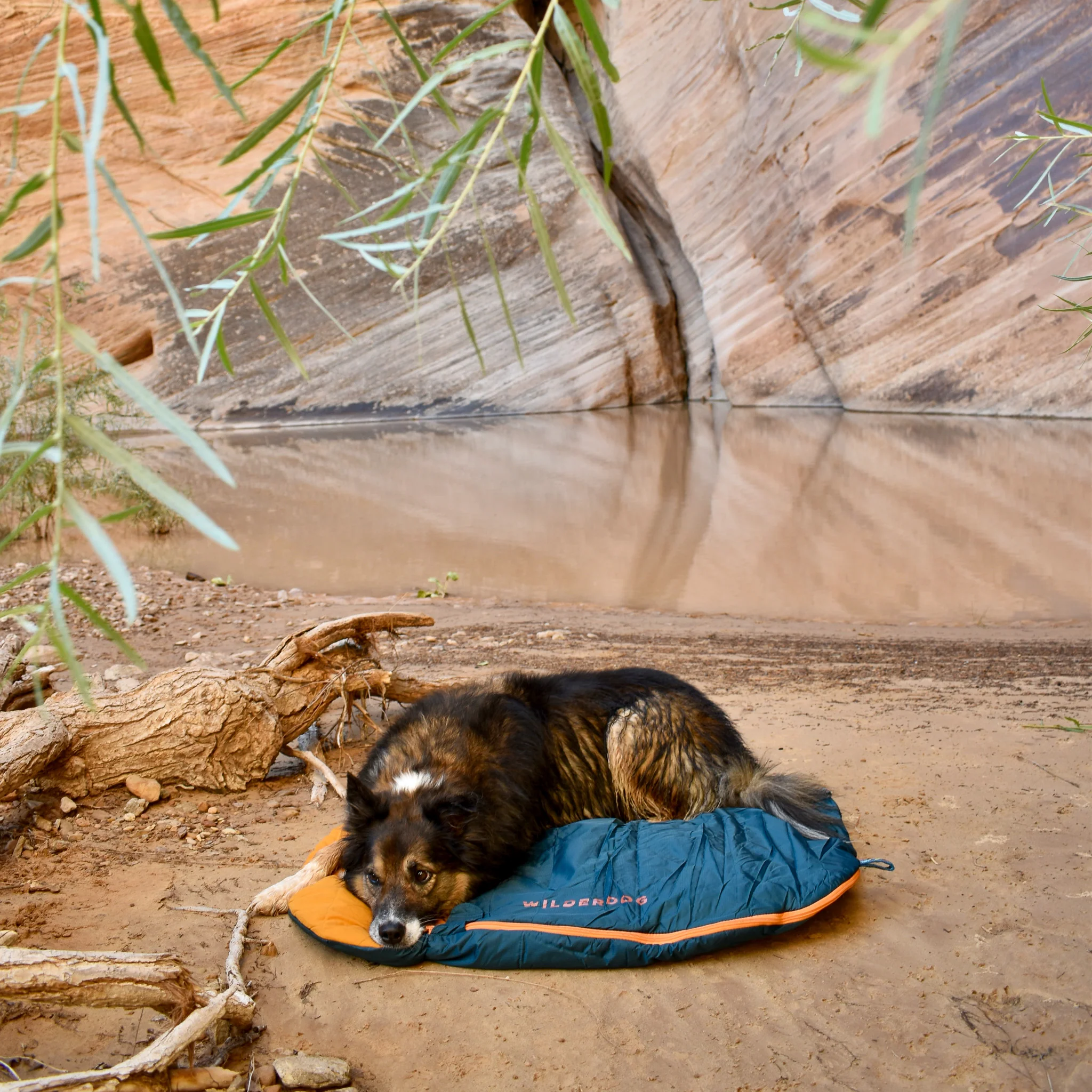 Sleeping Bag - Image 11