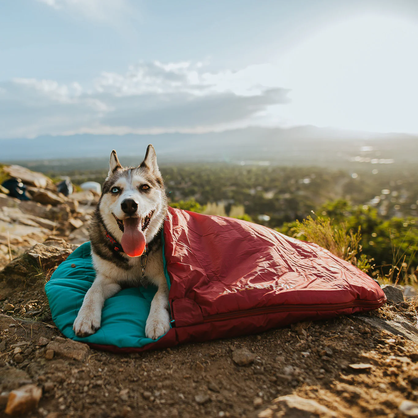 Sleeping Bag - Image 4