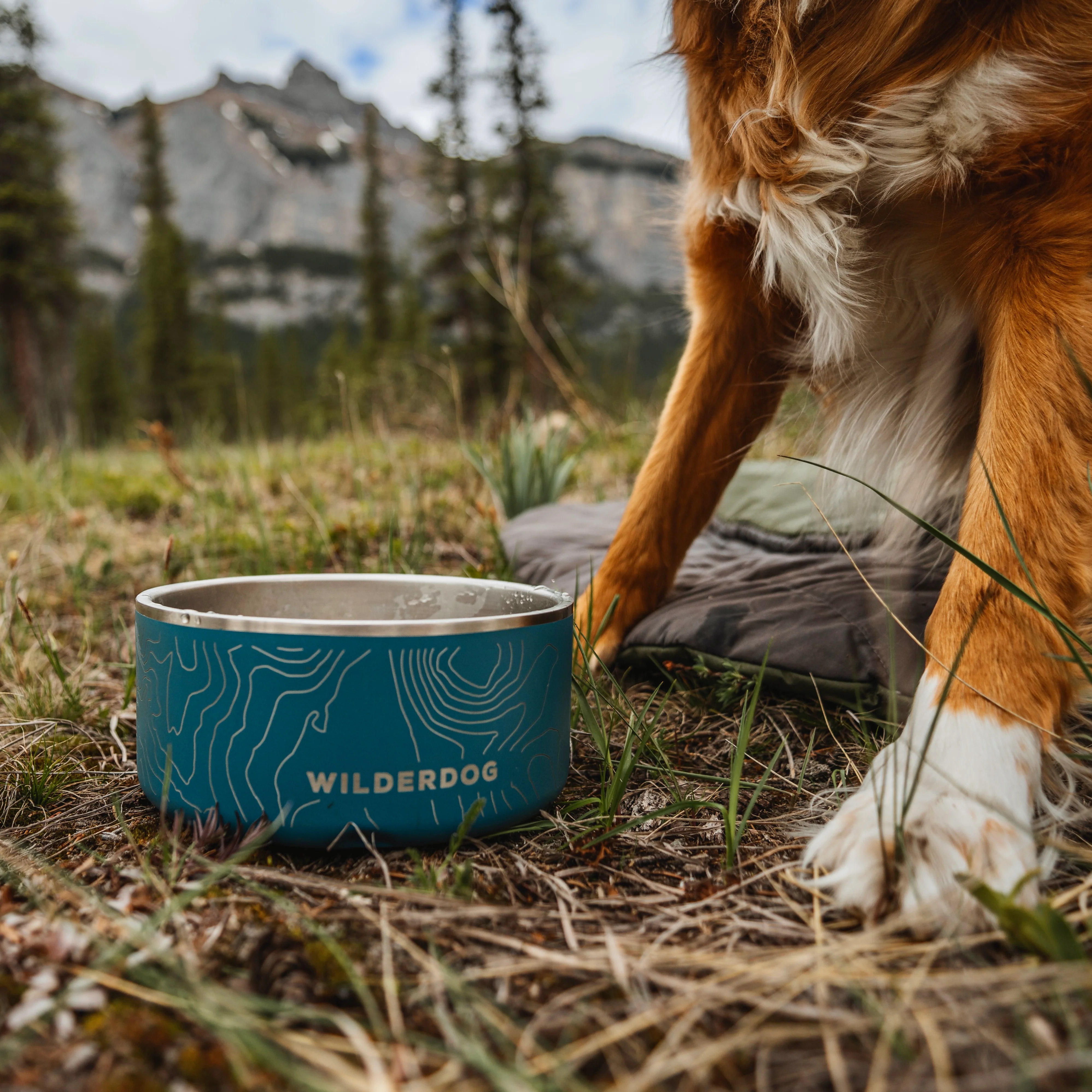 Stainless Steel Dog Bowl - Image 4