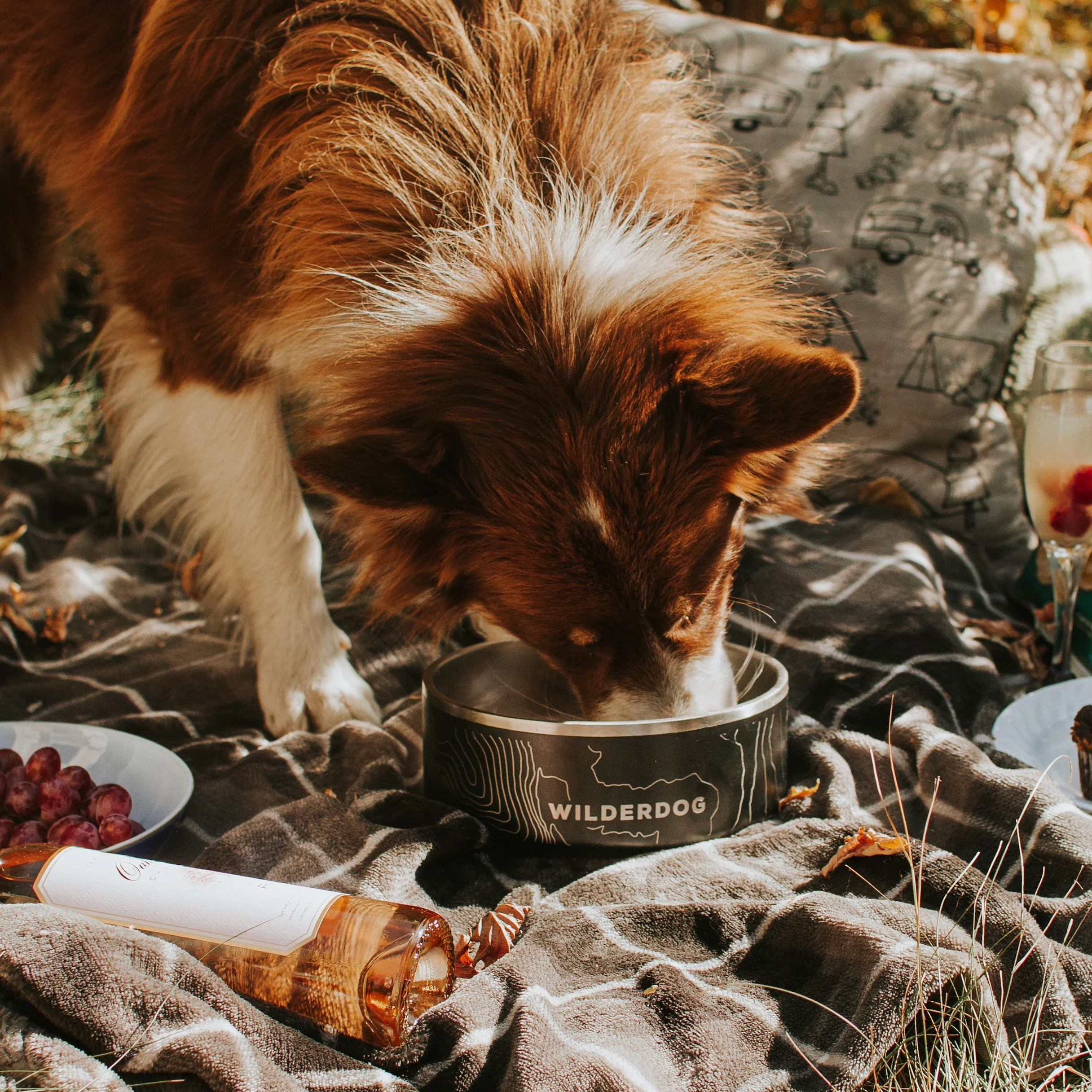 Stainless Steel Dog Bowl - Image 5