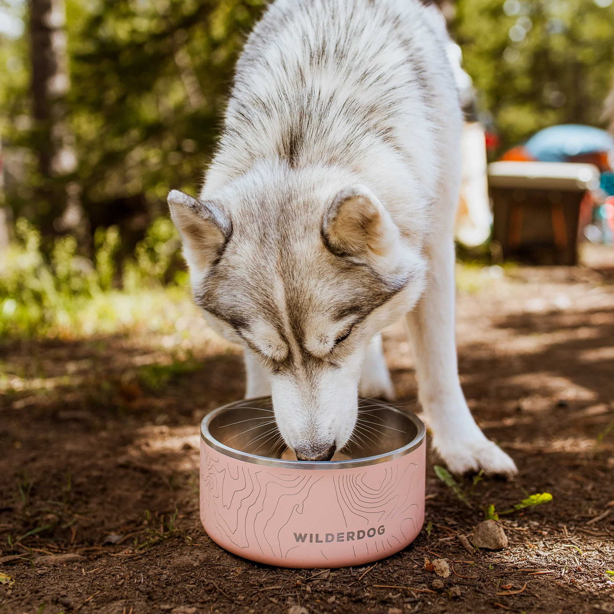 Stainless Steel Dog Bowl - Image 8