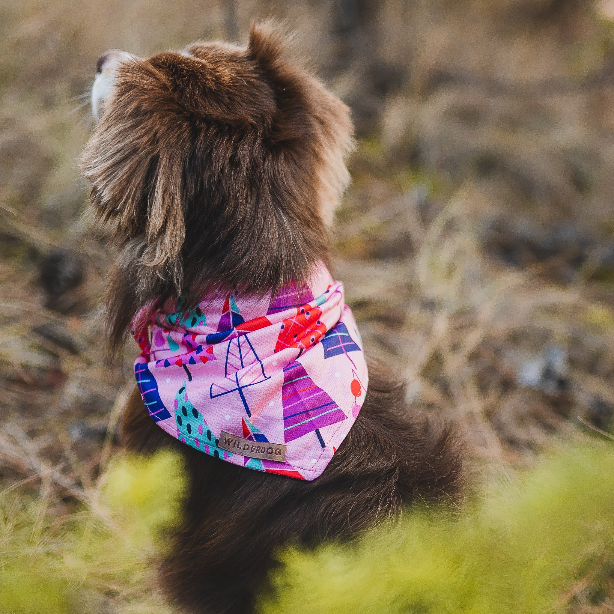 Sugarplum Bandana - Image 3