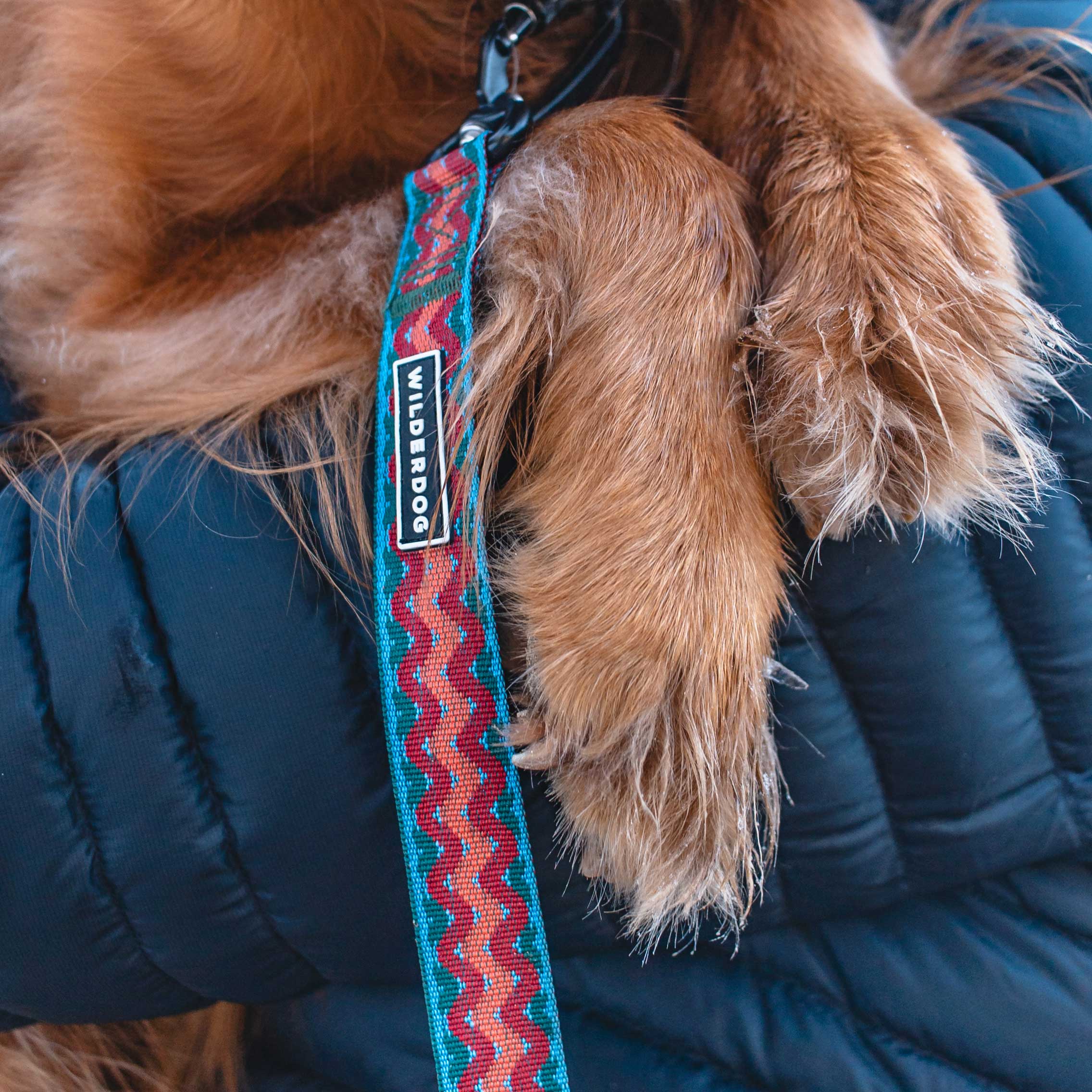 Sumac Ultralight Collar - Image 4
