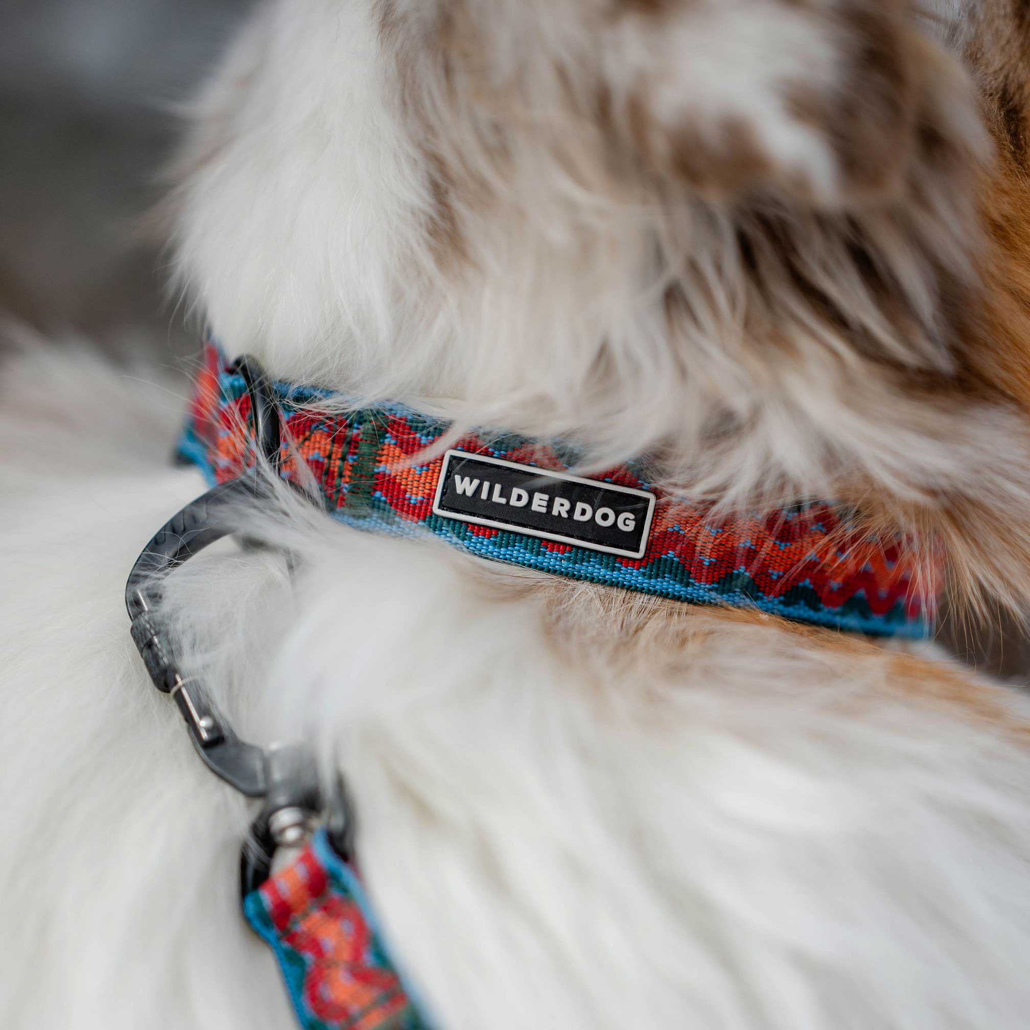 Sumac Ultralight Leash - Image 4
