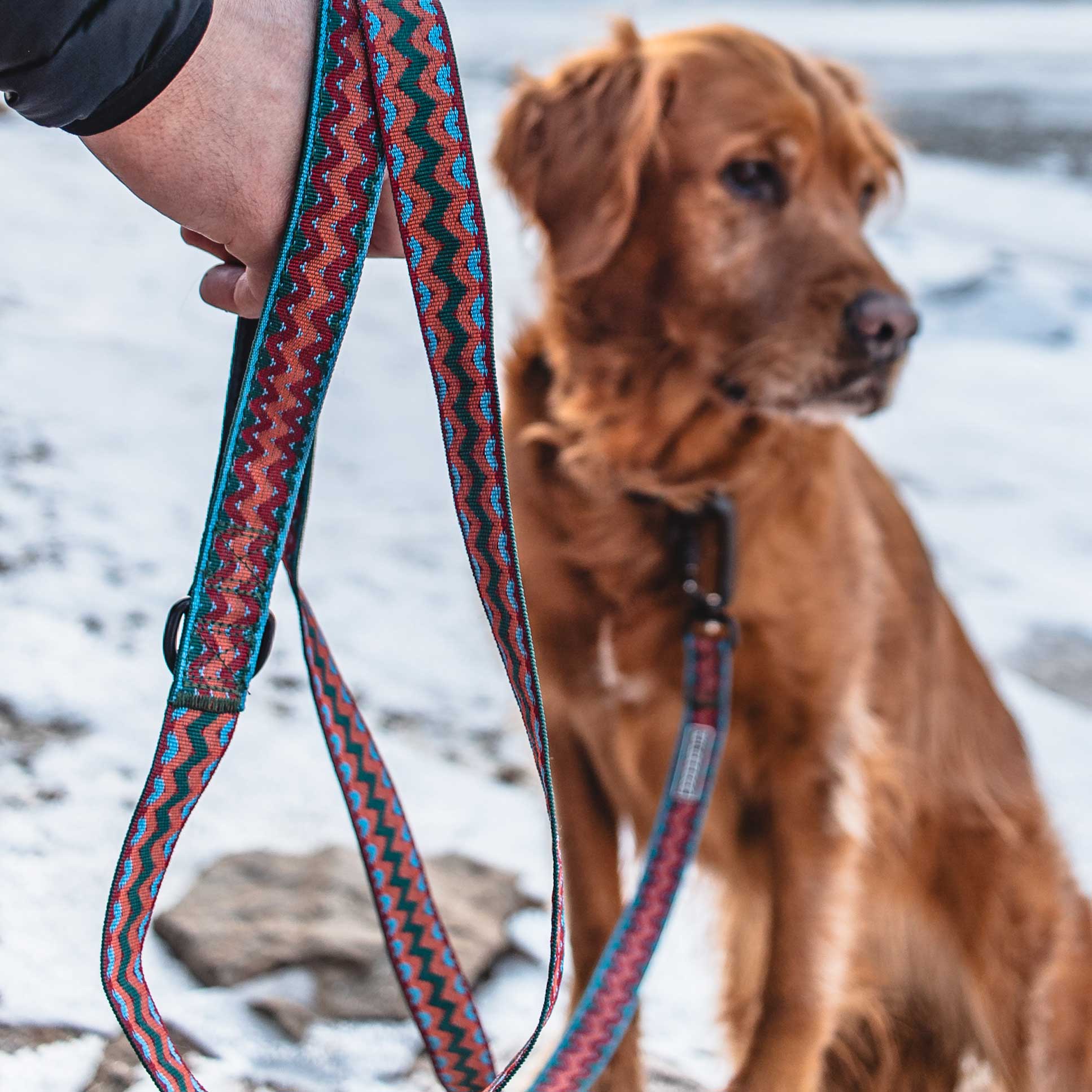 Sumac Ultralight Leash - Image 5