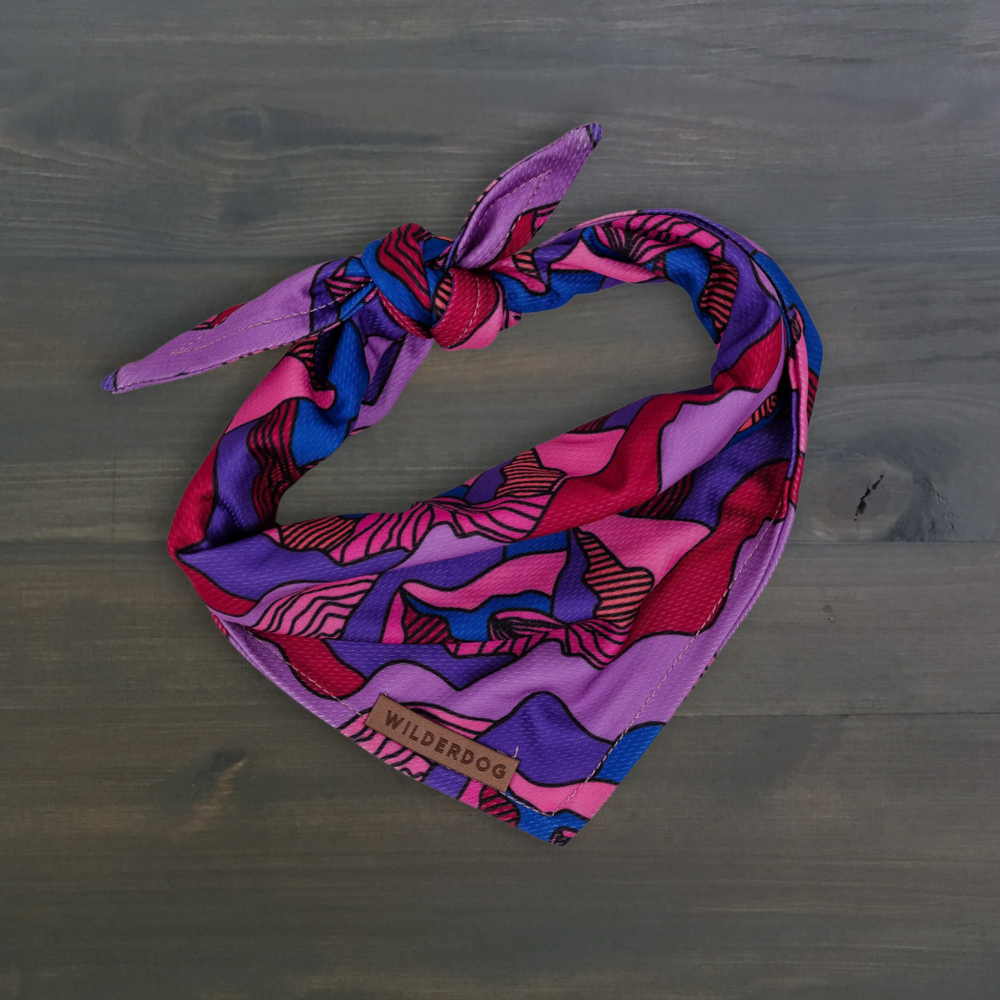 Summit Bandana