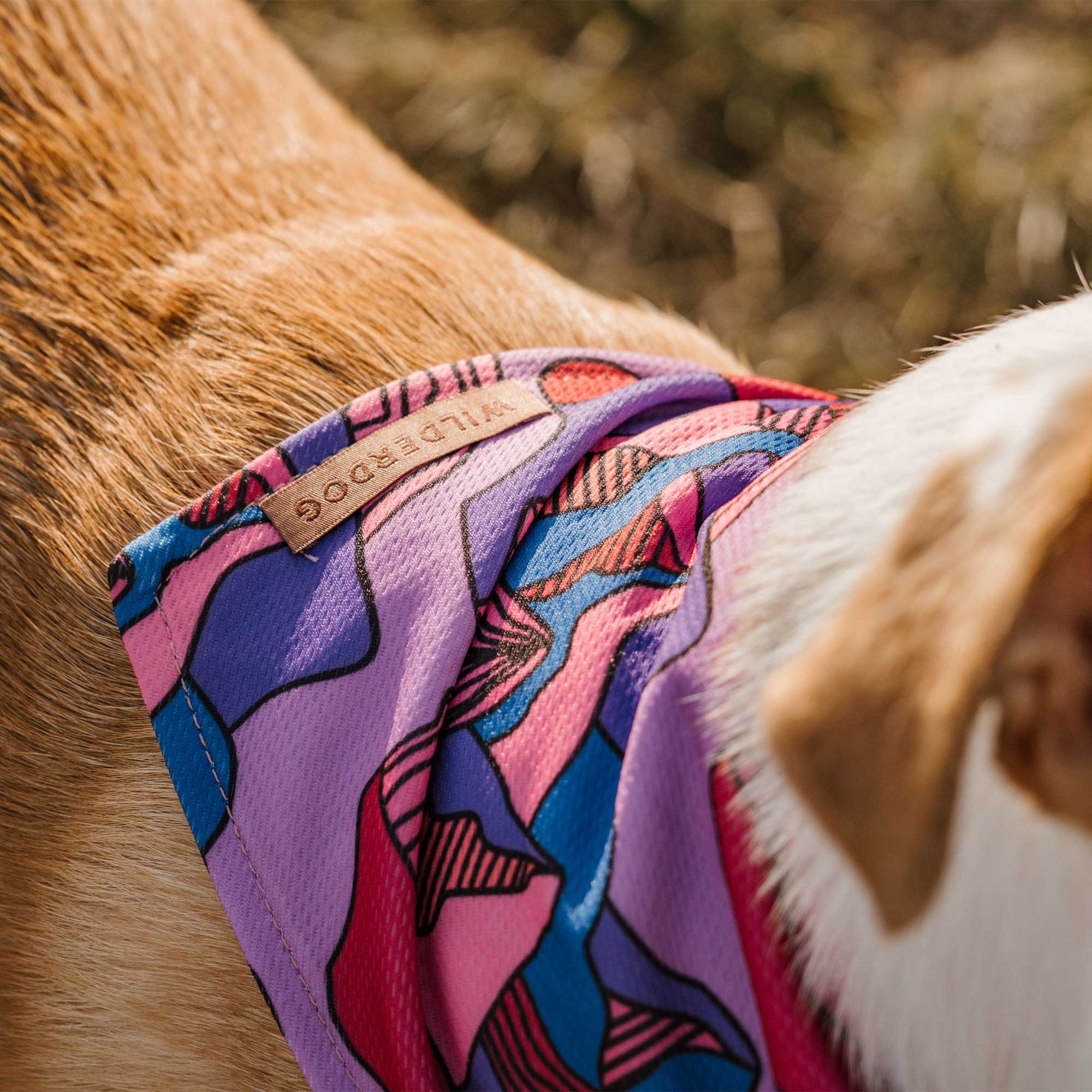 Summit Bandana - Image 3