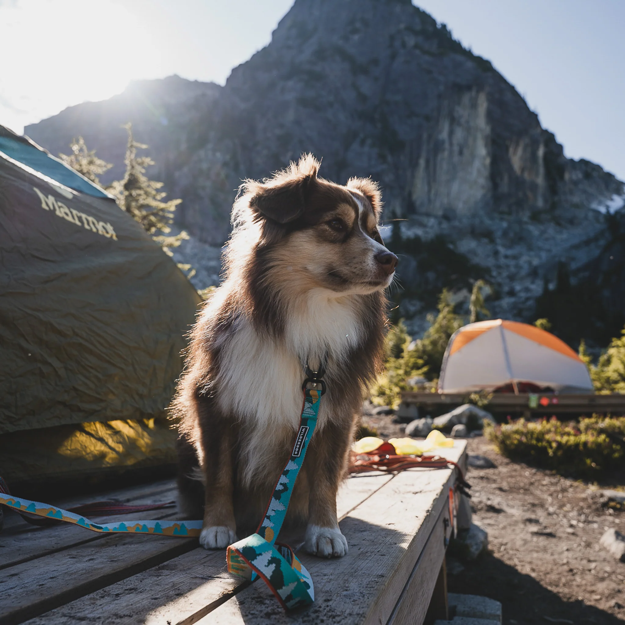 Tamarack Ultralight Leash - Image 2