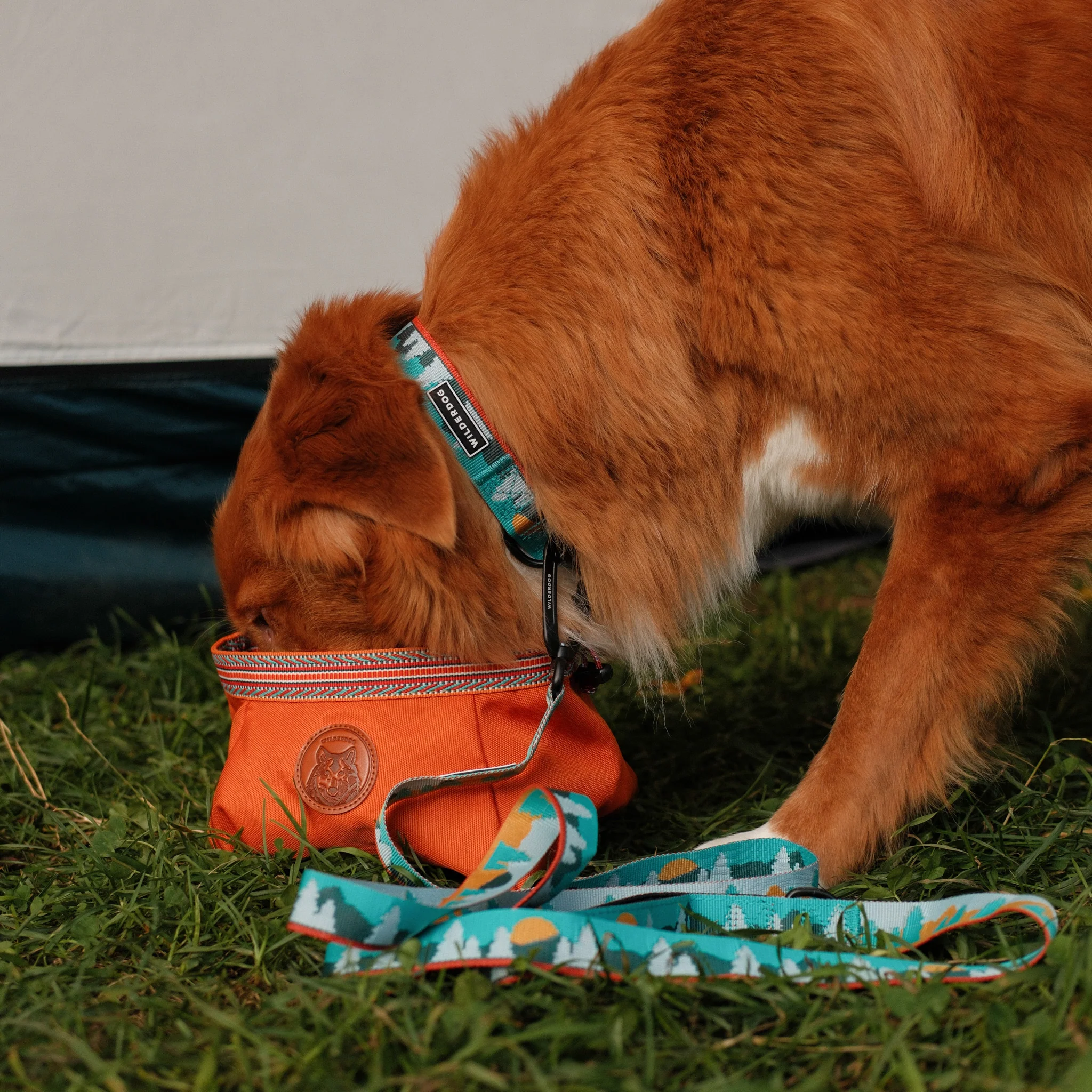 Tamarack Ultralight Leash - Image 4