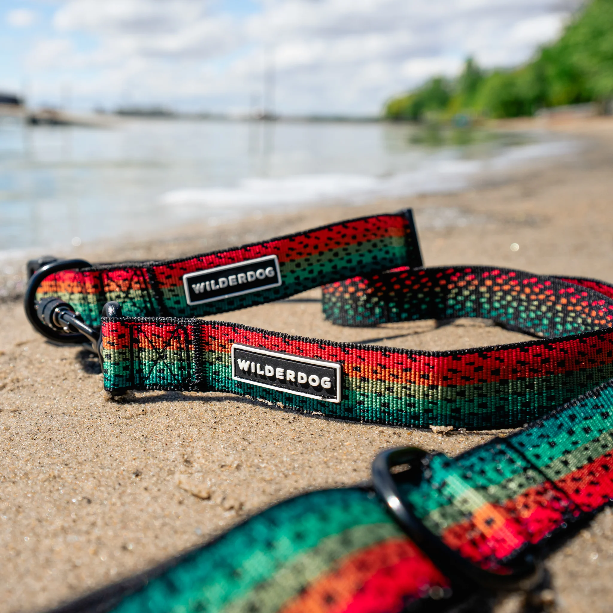 Trout Ultralight Collar - Image 3