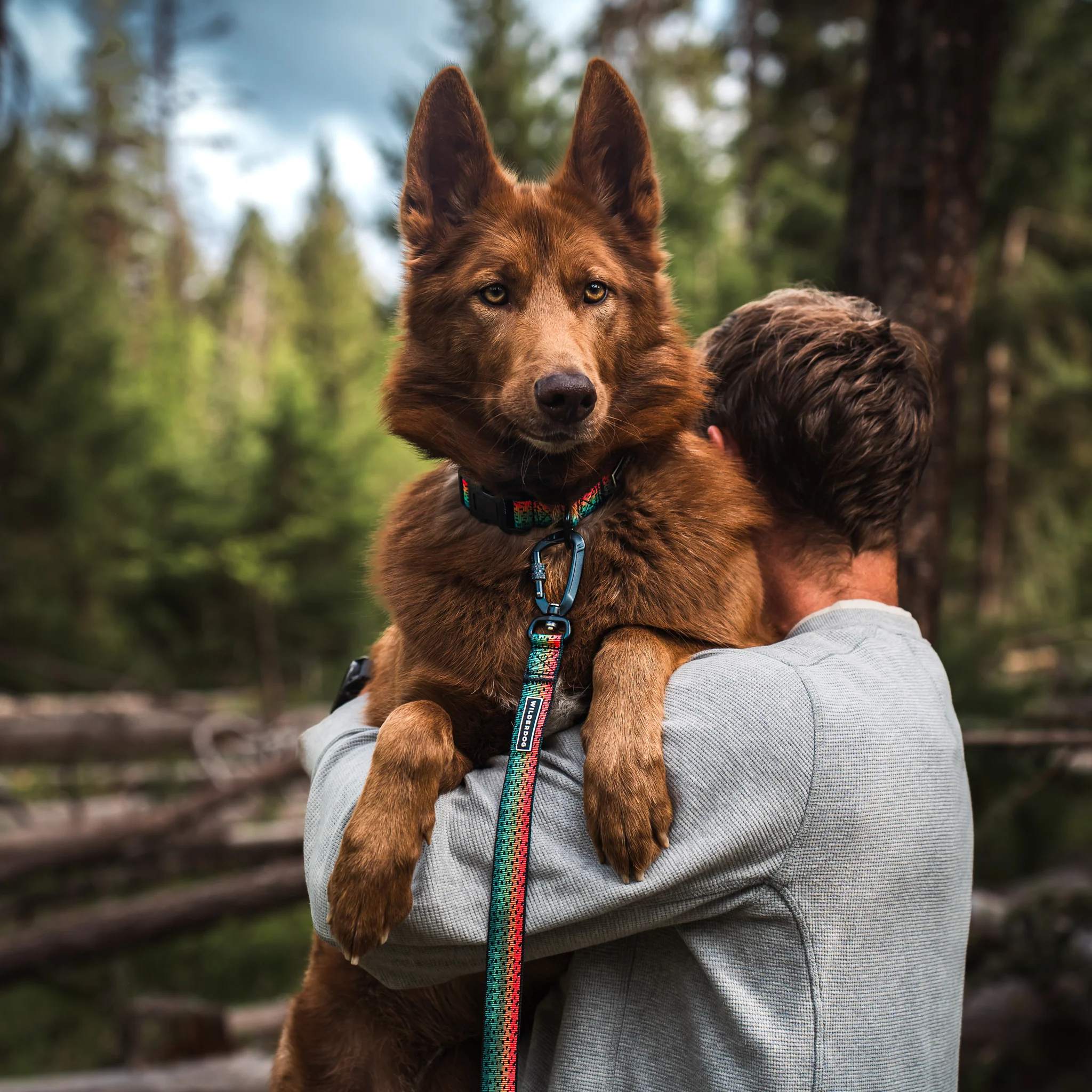 Trout Ultralight Leash - Image 4