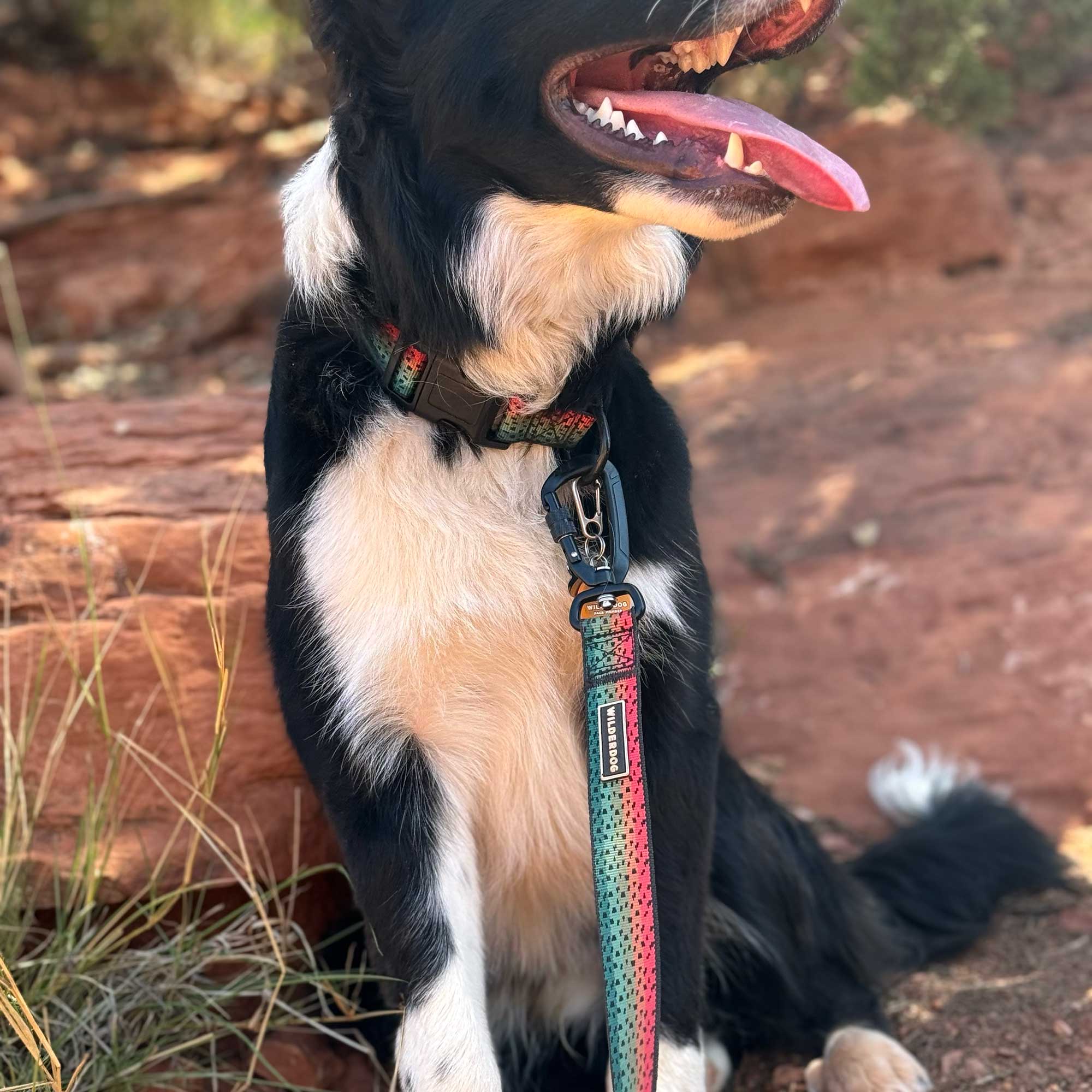 Trout Ultralight Leash - Image 5
