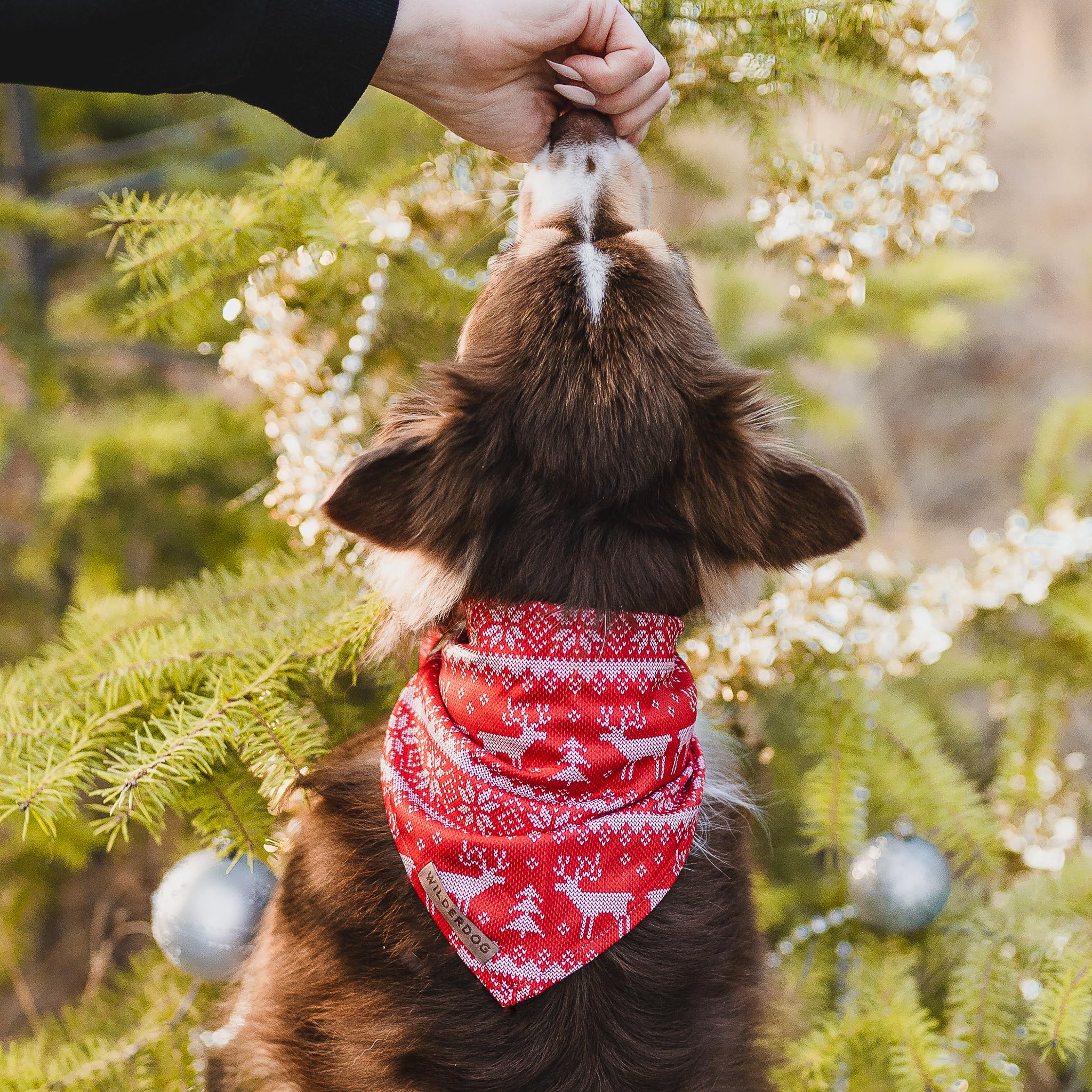 Ugly Sweater Bandana - Image 3