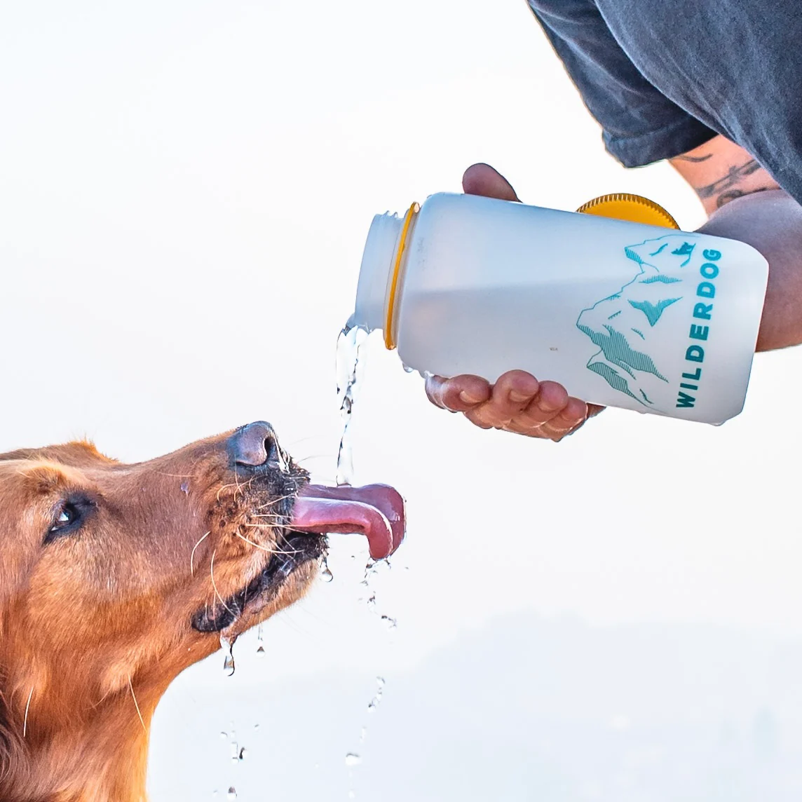 Wilderdog Nalgene - Image 5