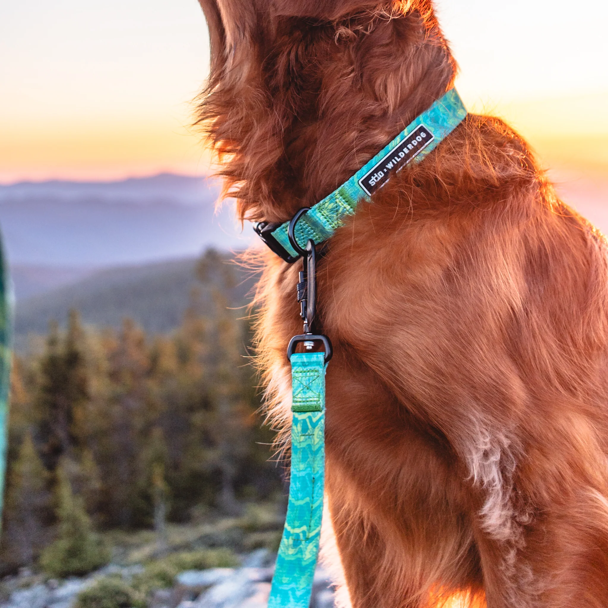 Wilderdog x Stio Ultralight Leash - Image 5