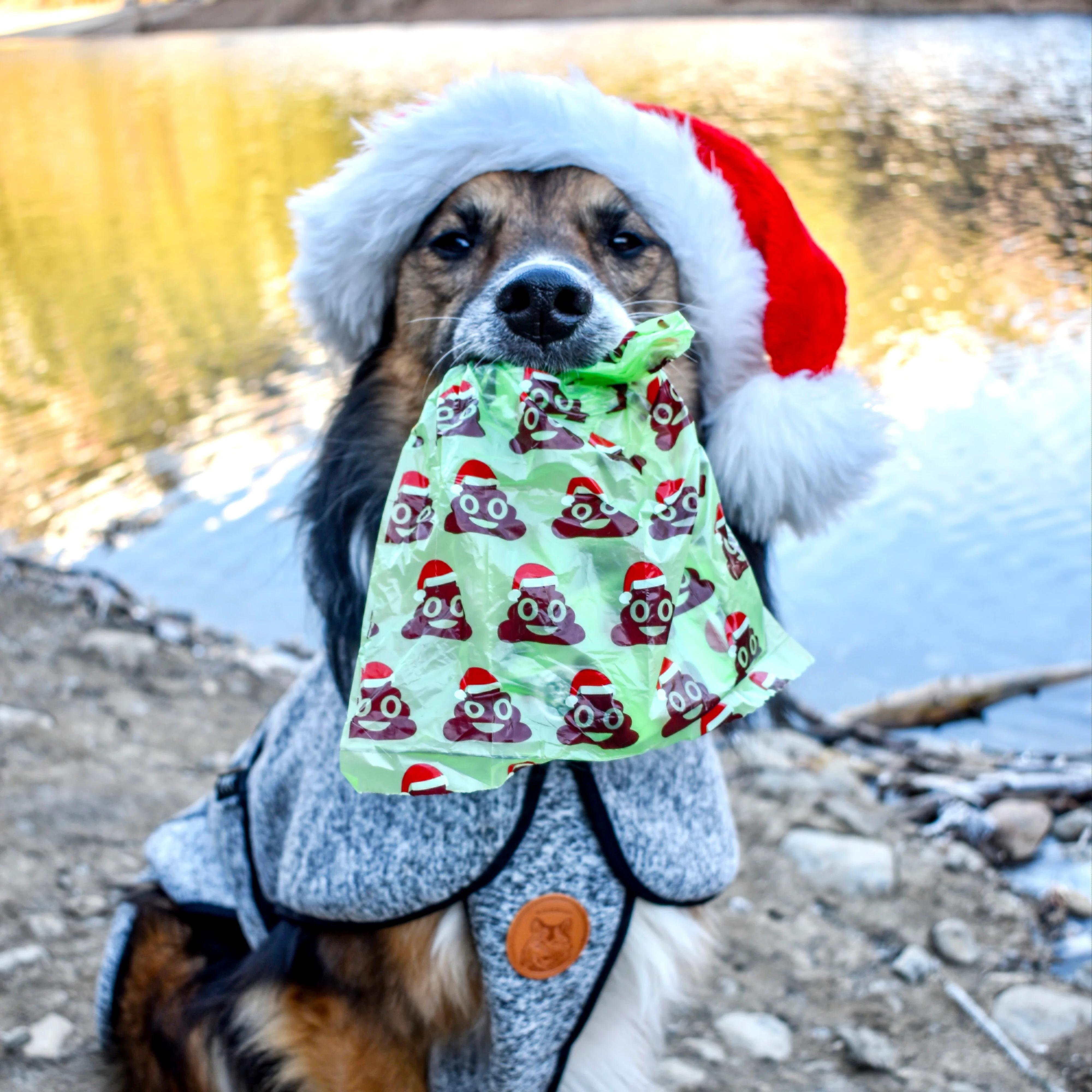 Santa Paws Poop Bags - Image 4