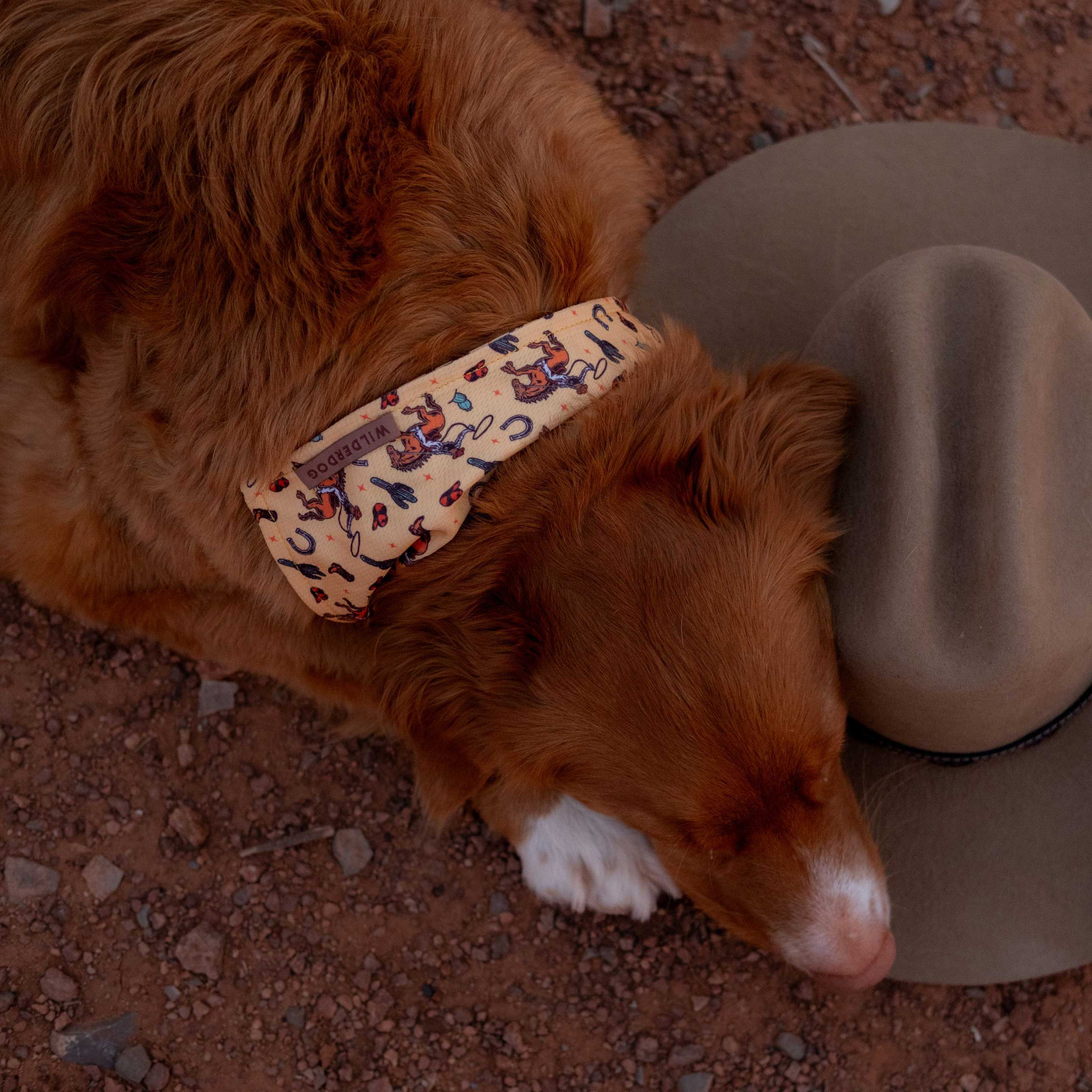 Yeehaw Bandana - Image 2