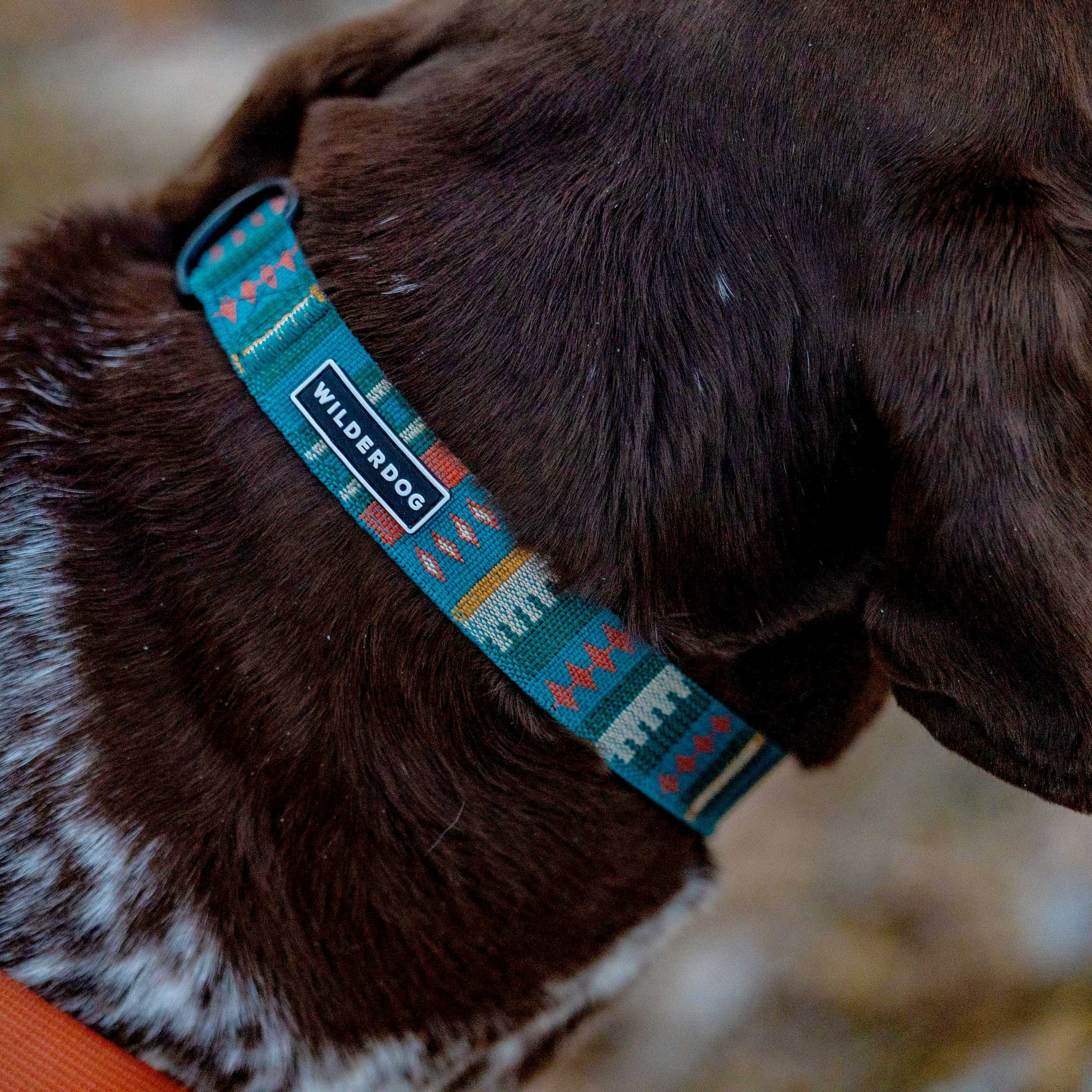 Yucca Ultralight Collar - Image 2