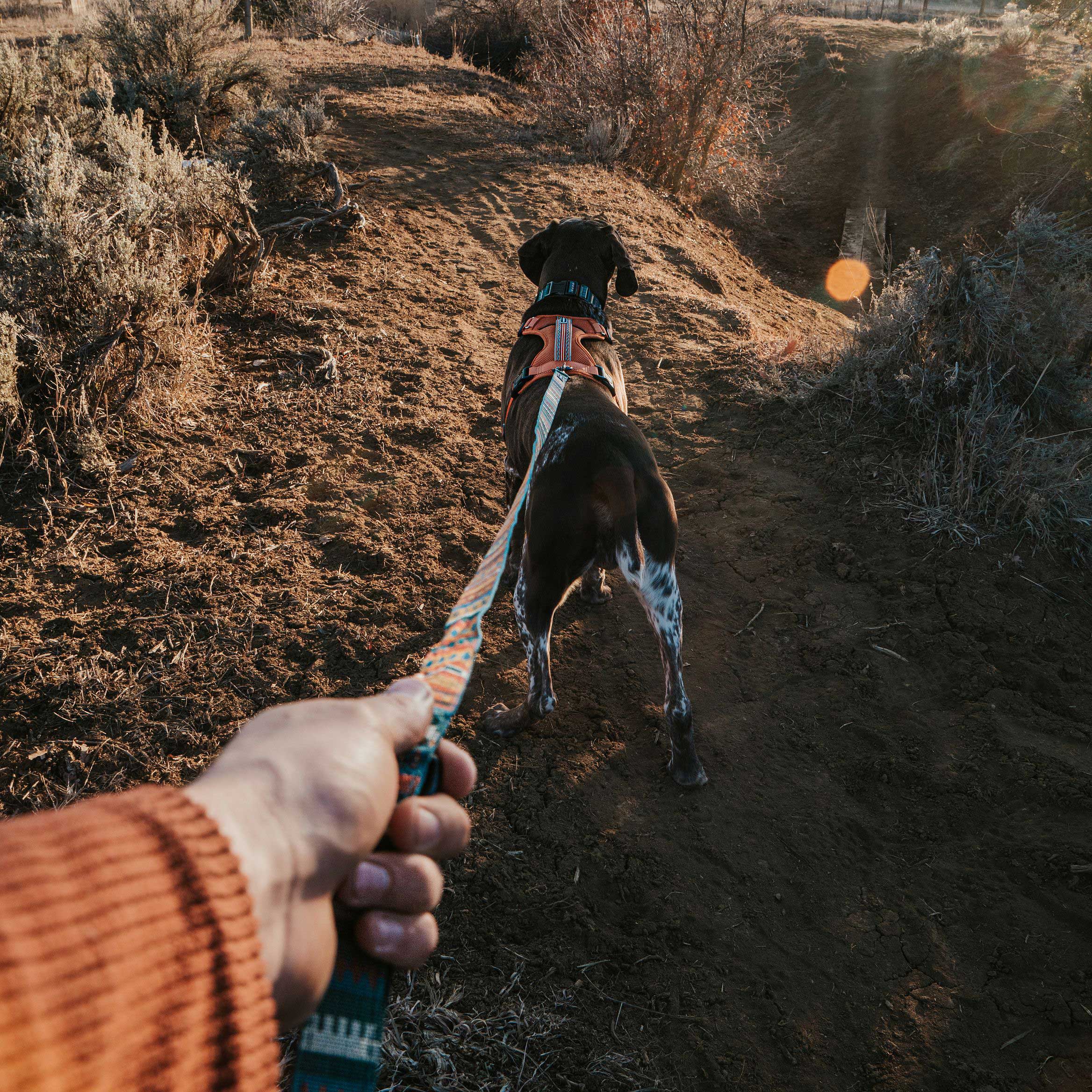 Yucca Ultralight Leash - Image 3