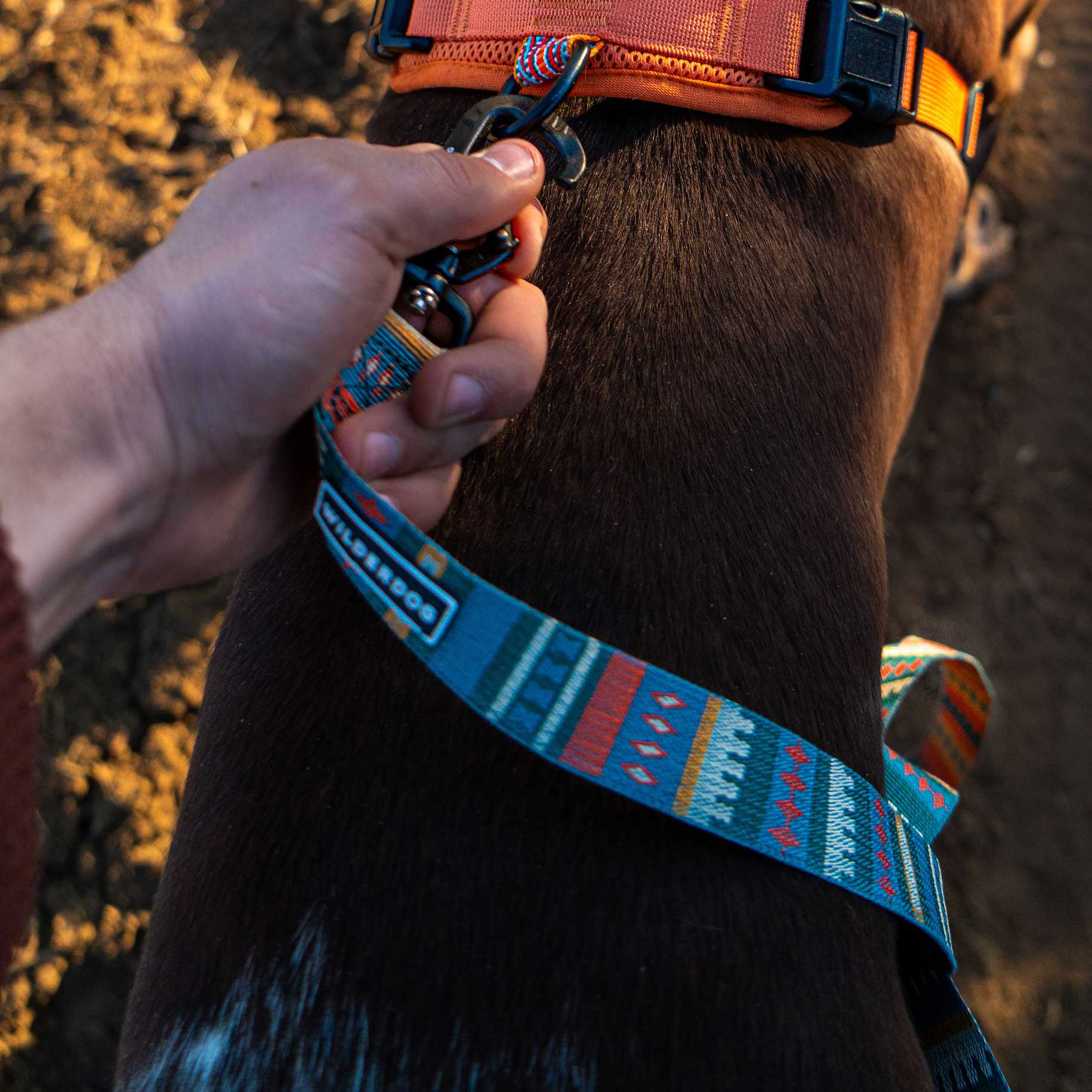 Yucca Ultralight Leash - Image 5